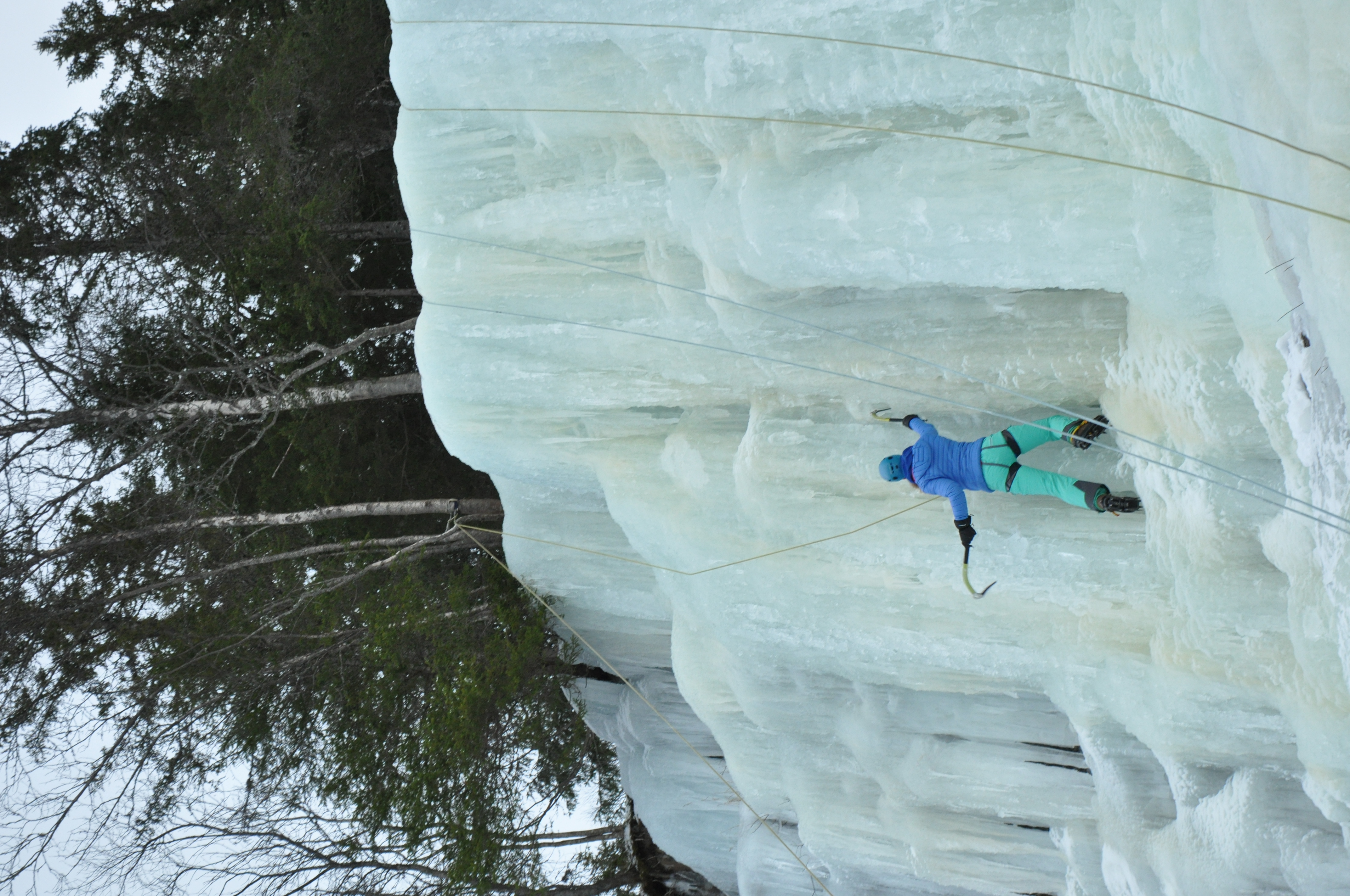 media_NPBXNMQTQGFG4SAD