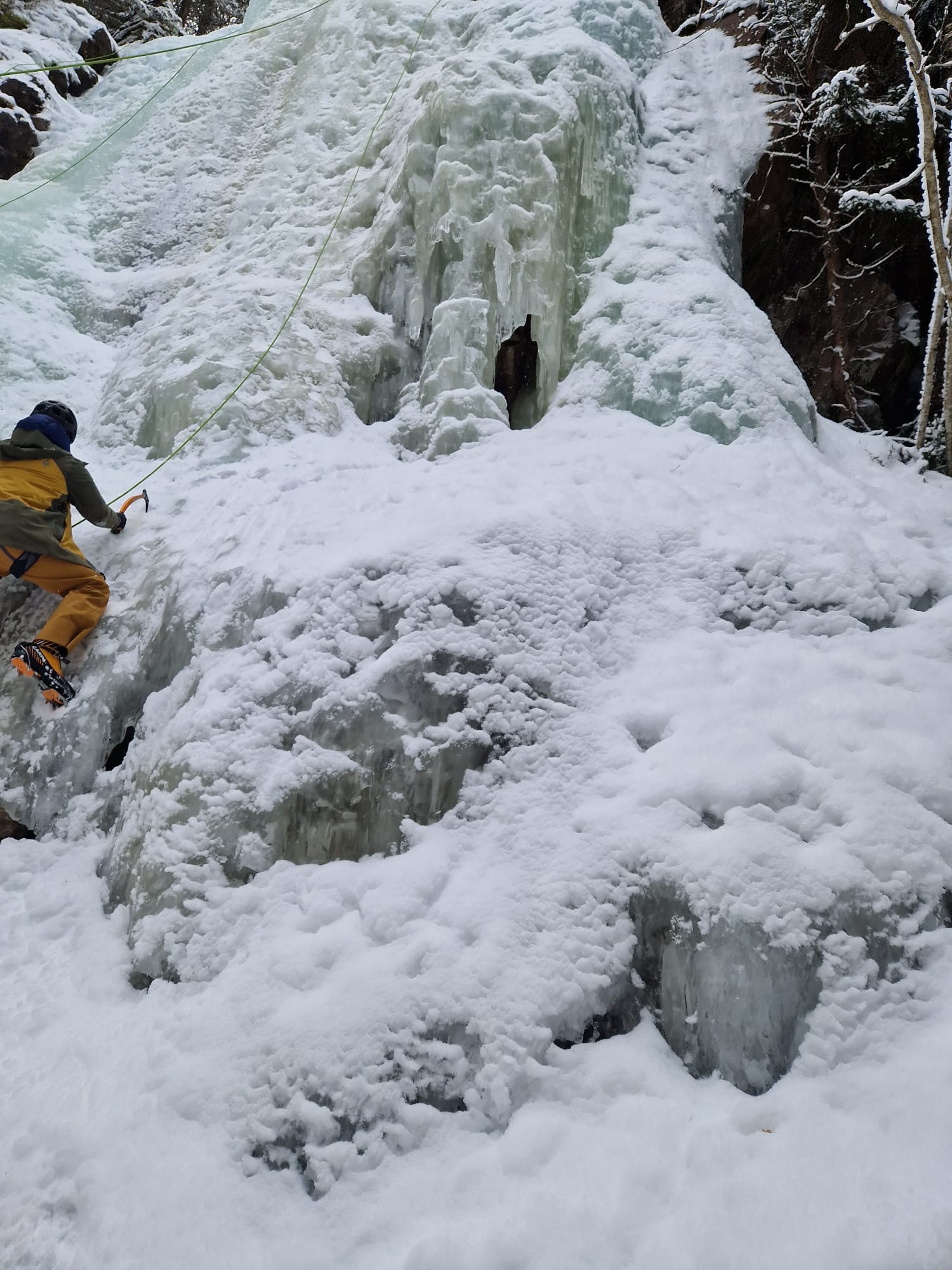 media_NV7RT7ZULW6NRNRB