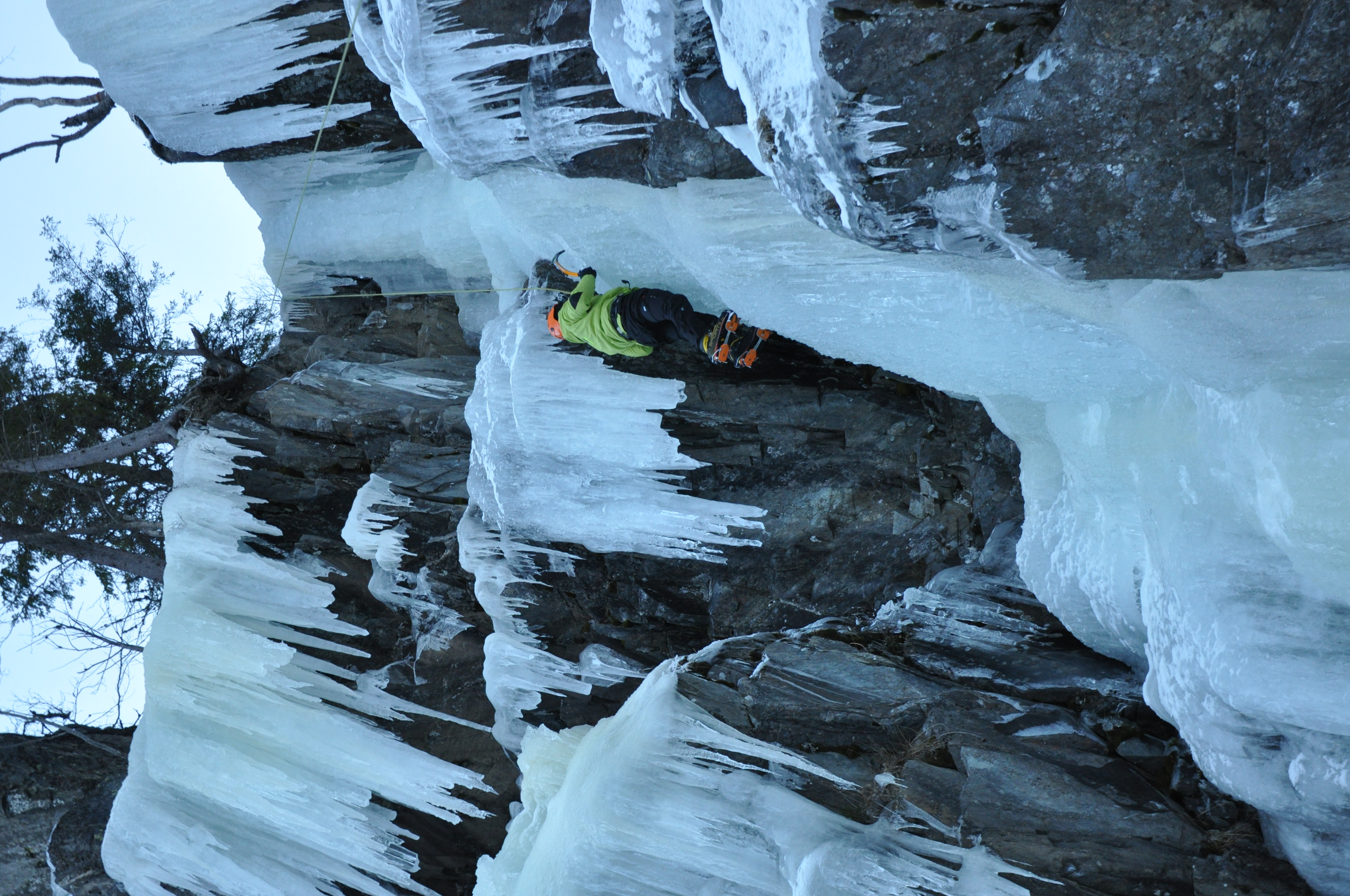 media_Y2TLW4MBSZCG7AG4