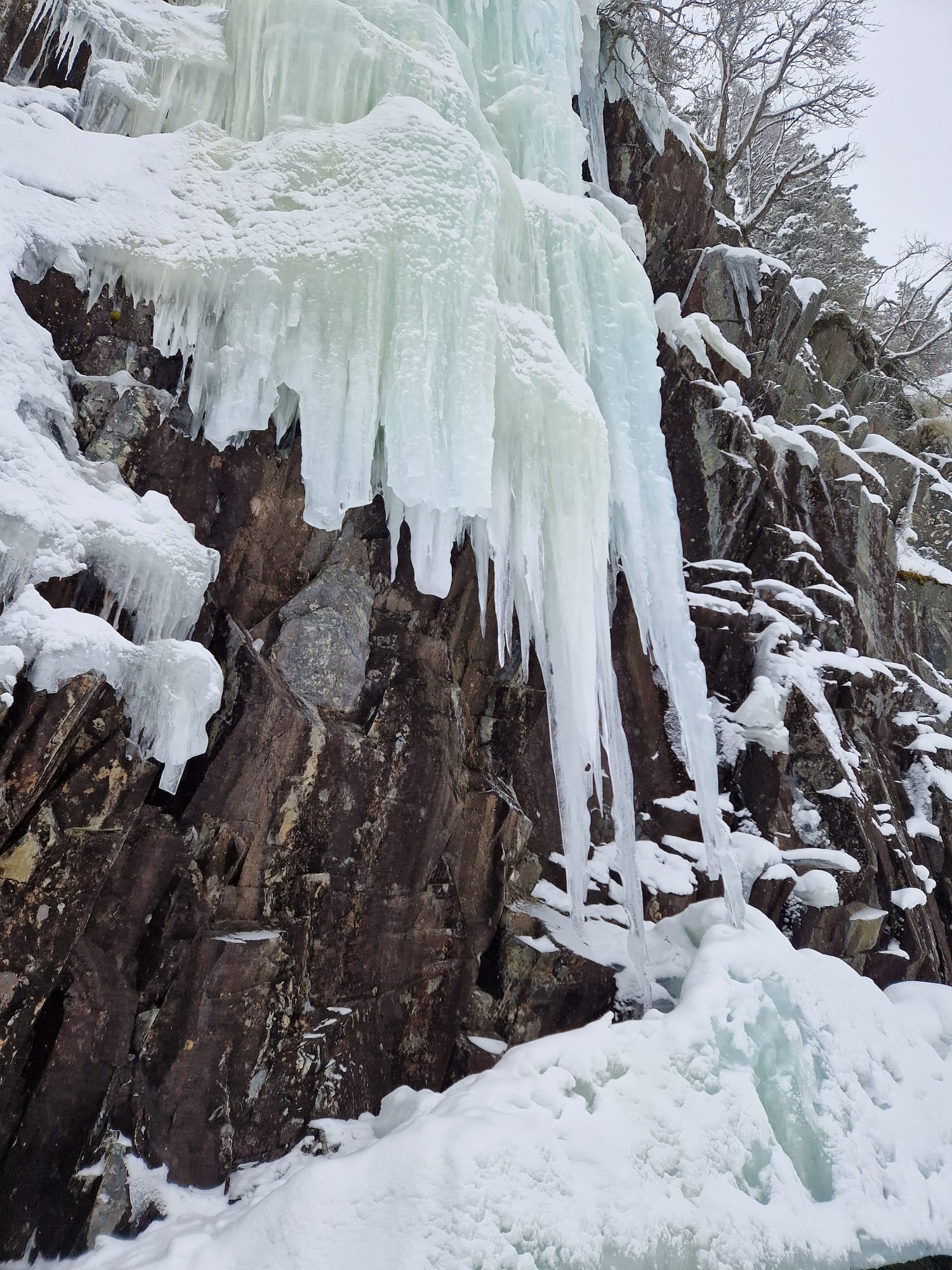 media_ZQ5WXQYH2NQ86UGB