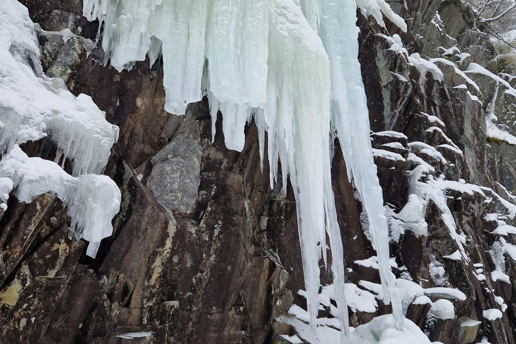 media_ZQ5WXQYH2NQ86UGB