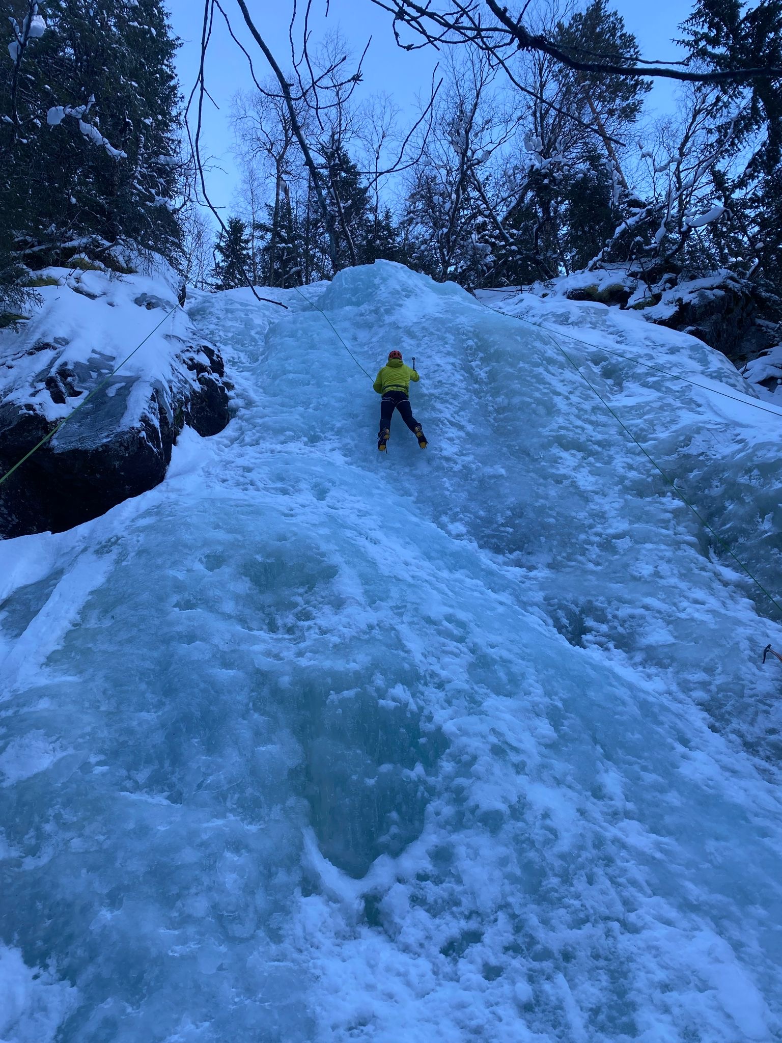 media_ZUL8AMQ5KCLADZHH