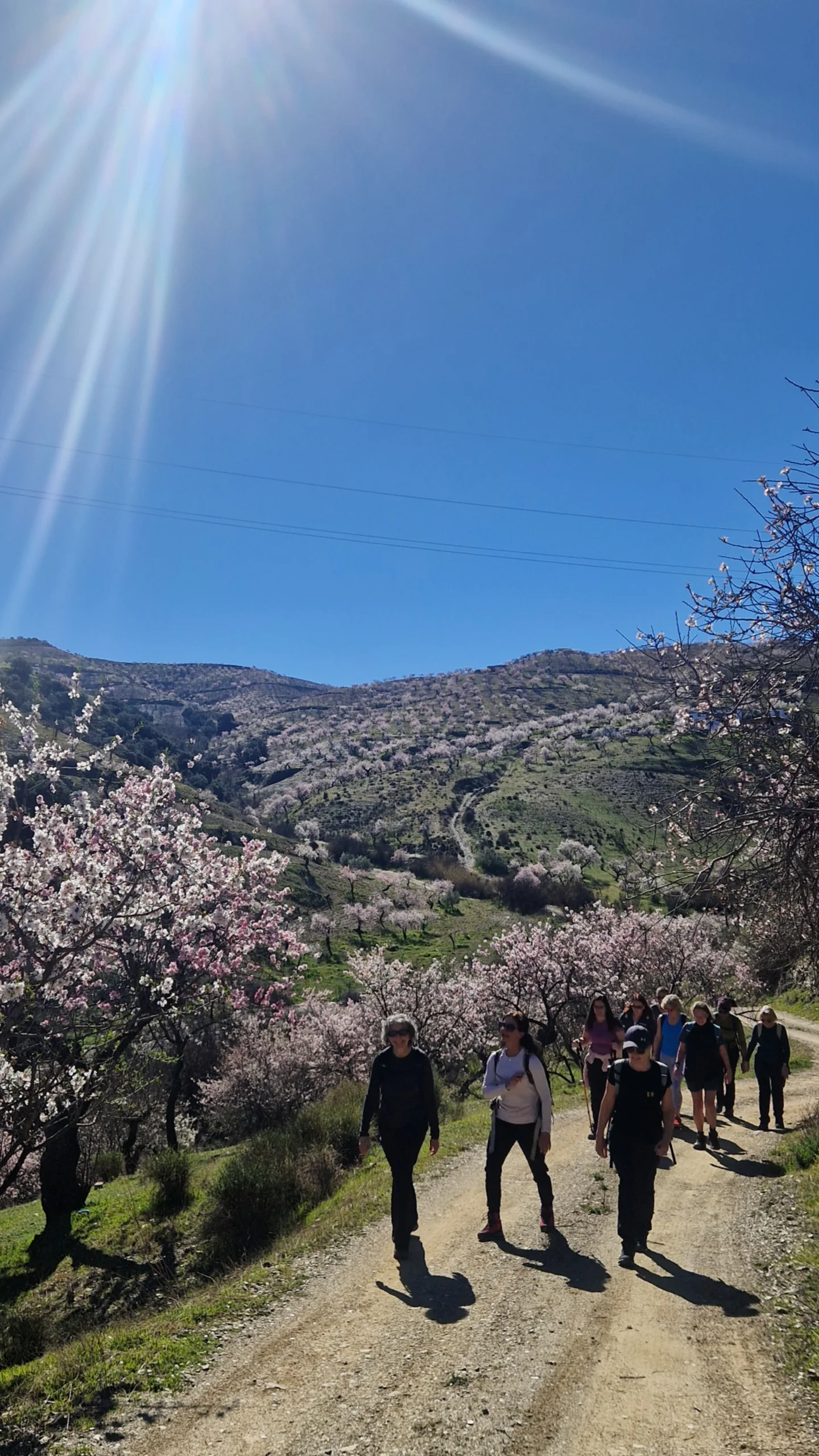 media_5XLR42KSB72GN9FL