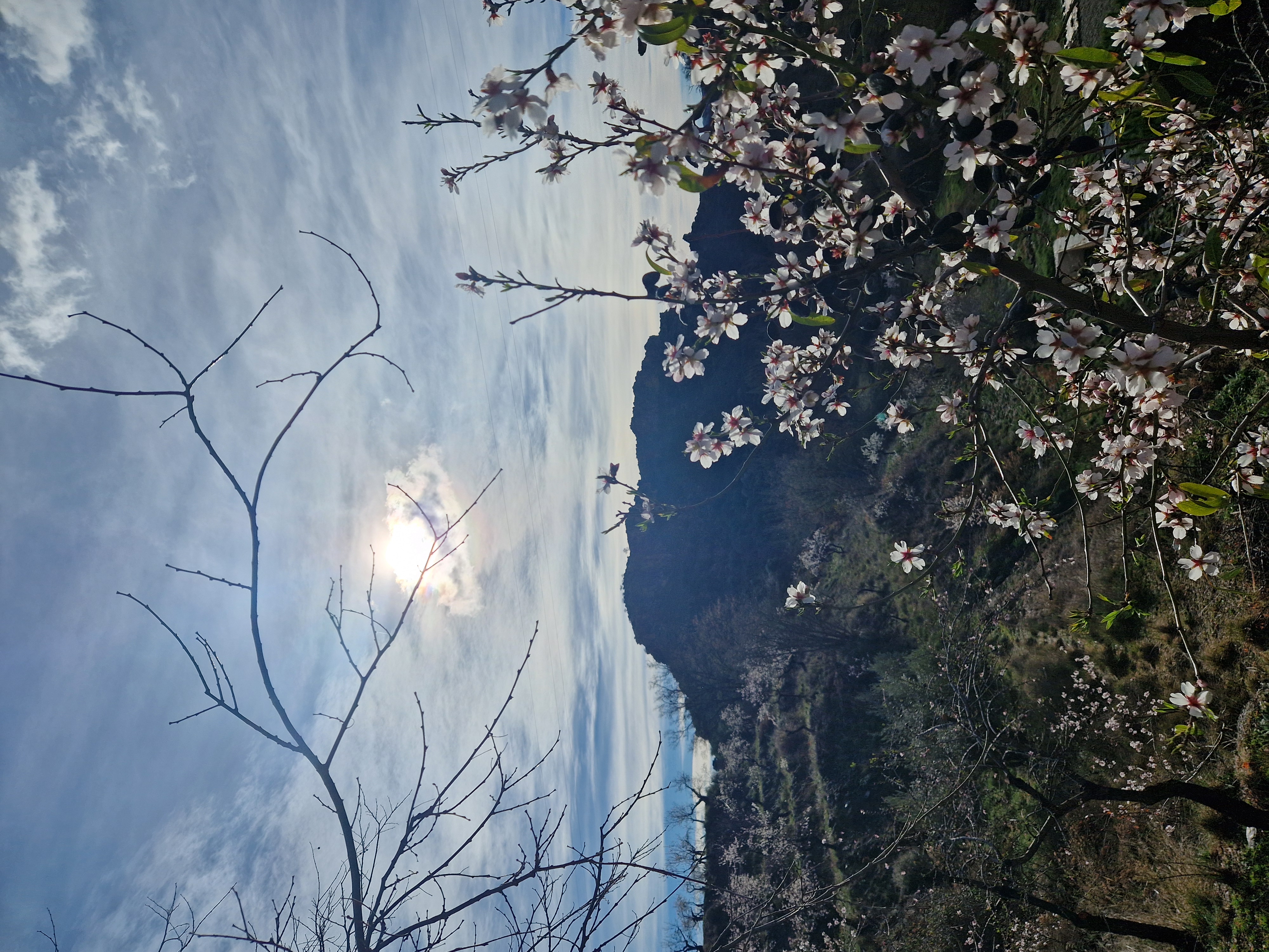 media_6QBT3CTZPLVEGQFD