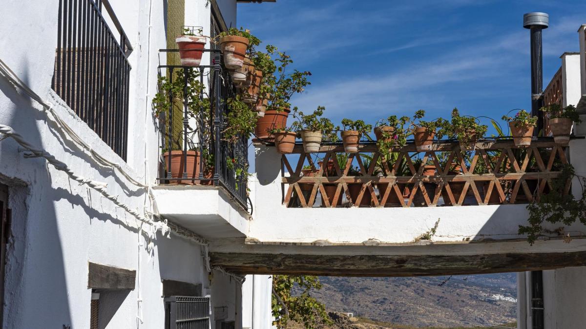 media_729VFPTMHD5WLH3D