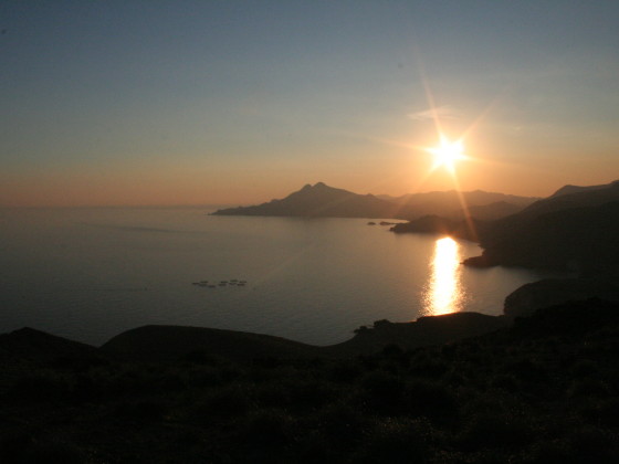 media_7SP8E835RXDDCKZ6