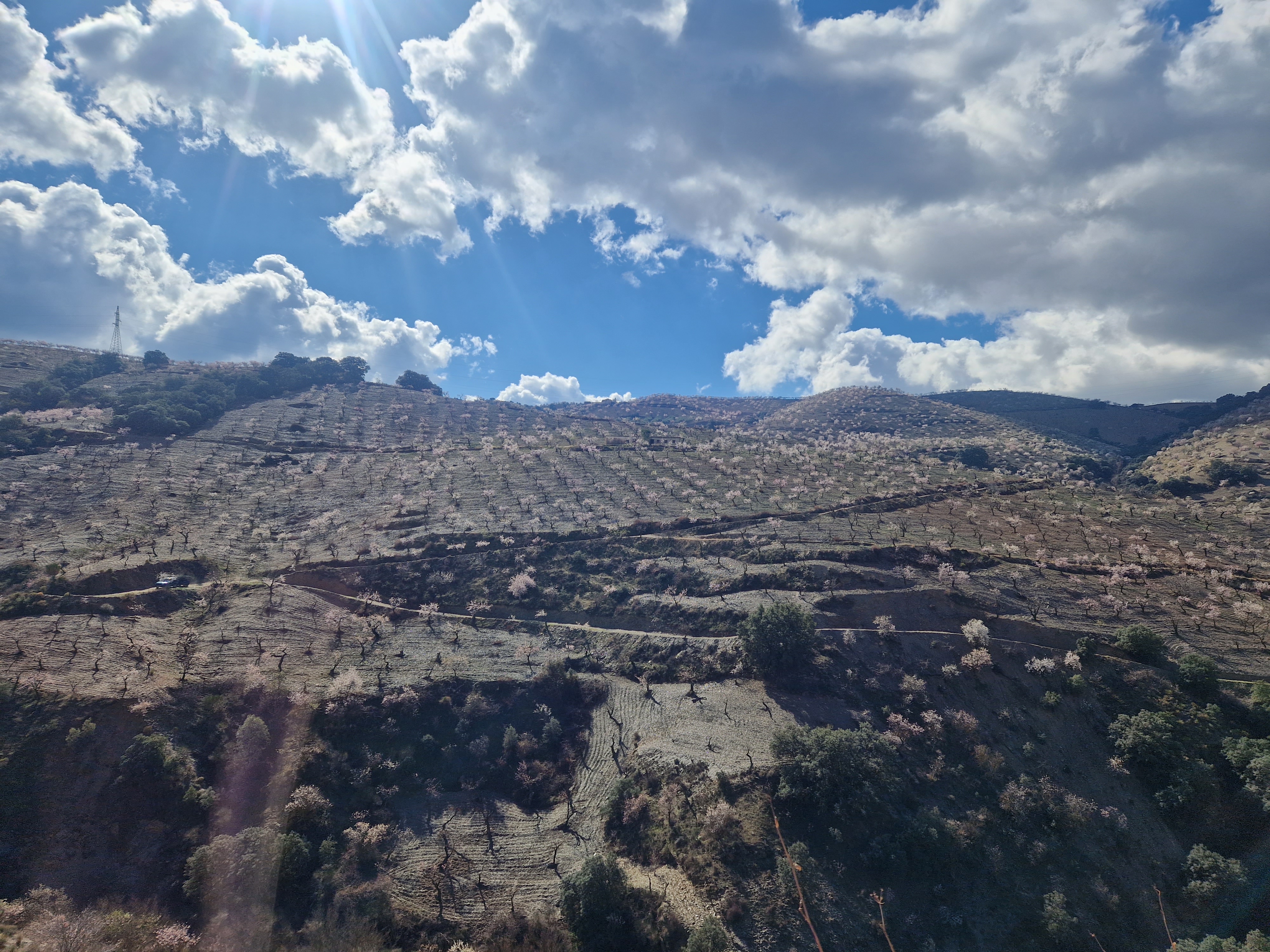 media_9NC4NCBAASTVTBRF