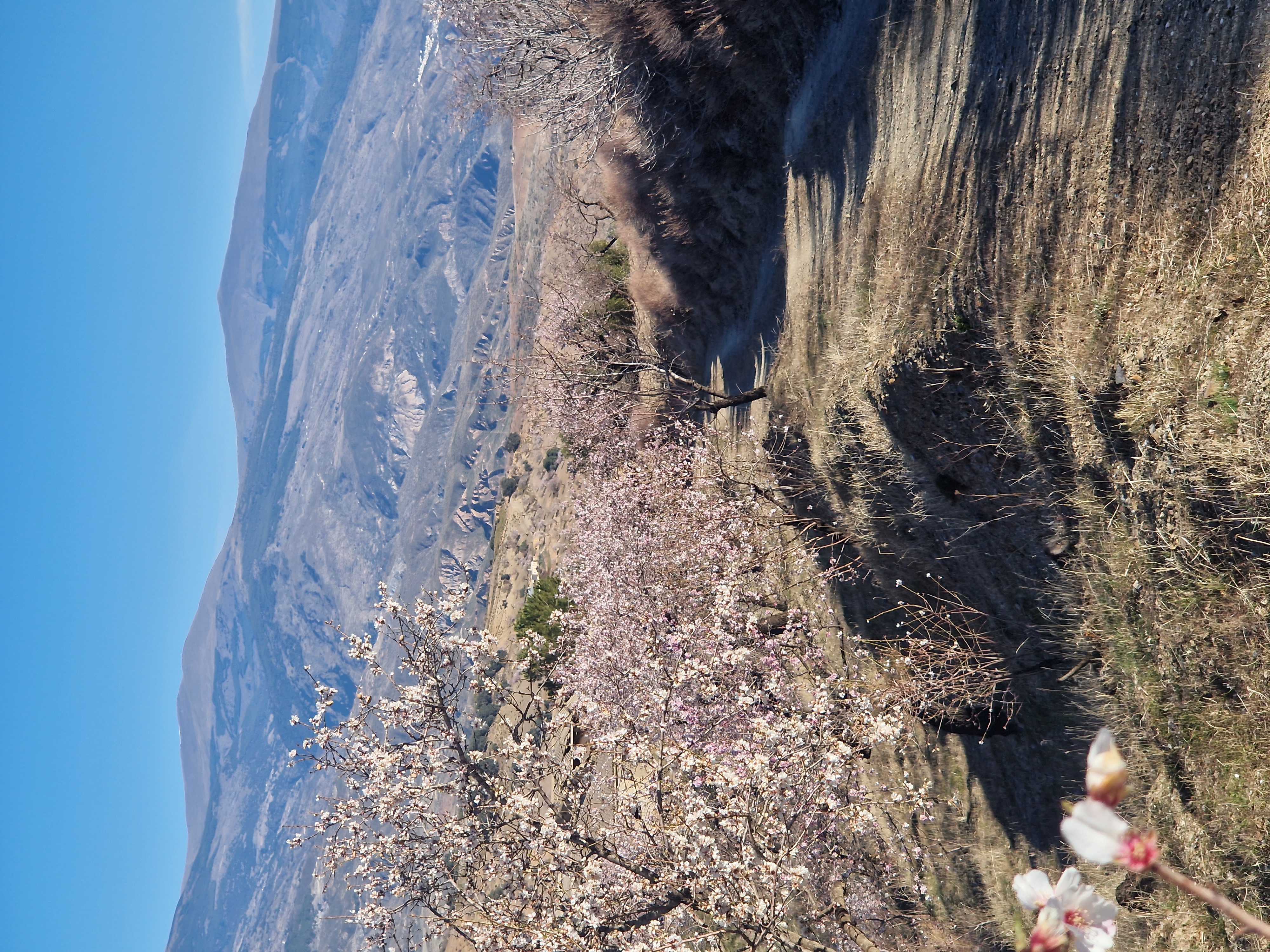 media_BVB5RCT9CTXPGNC8