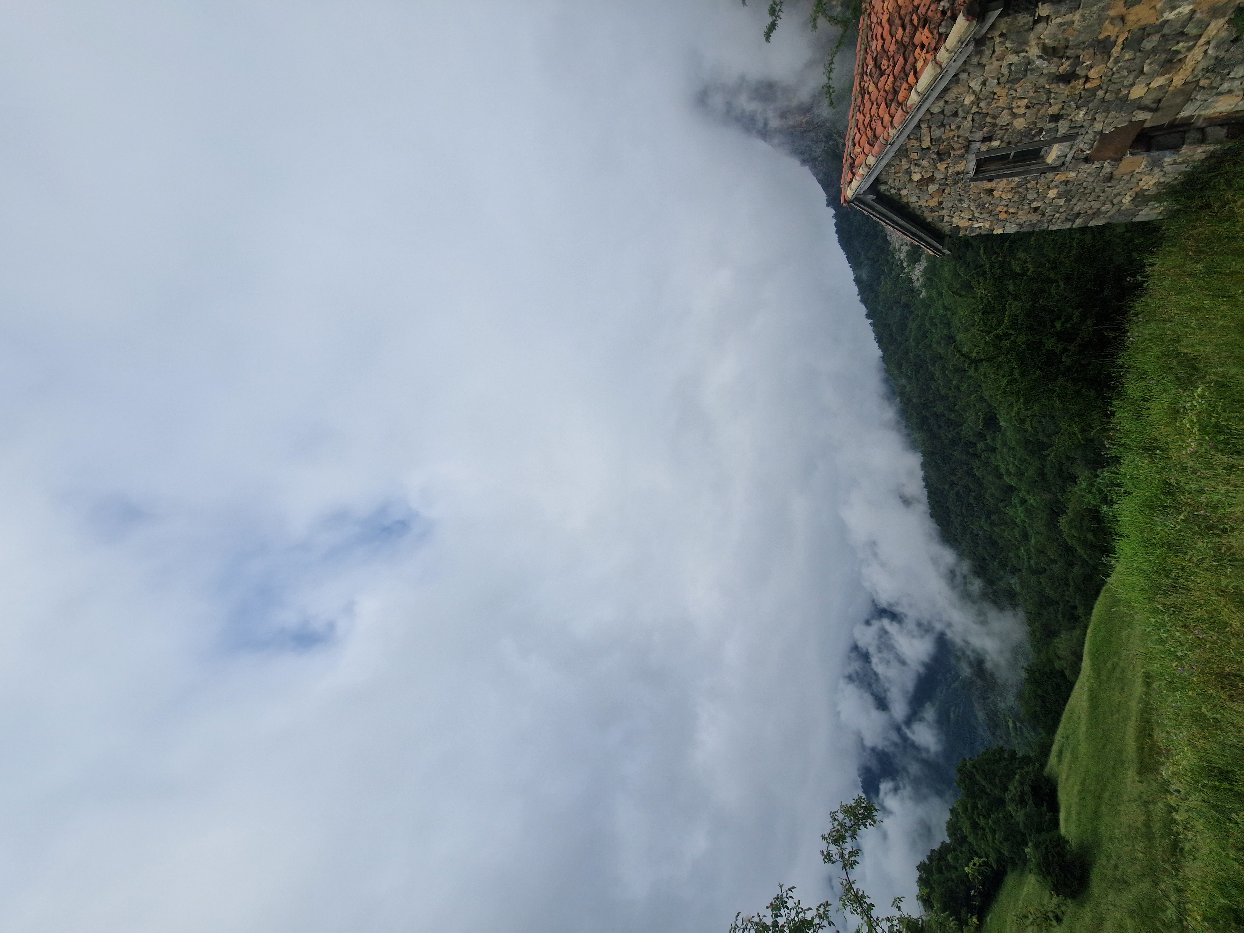 media_C6A242S9WCK65M3C