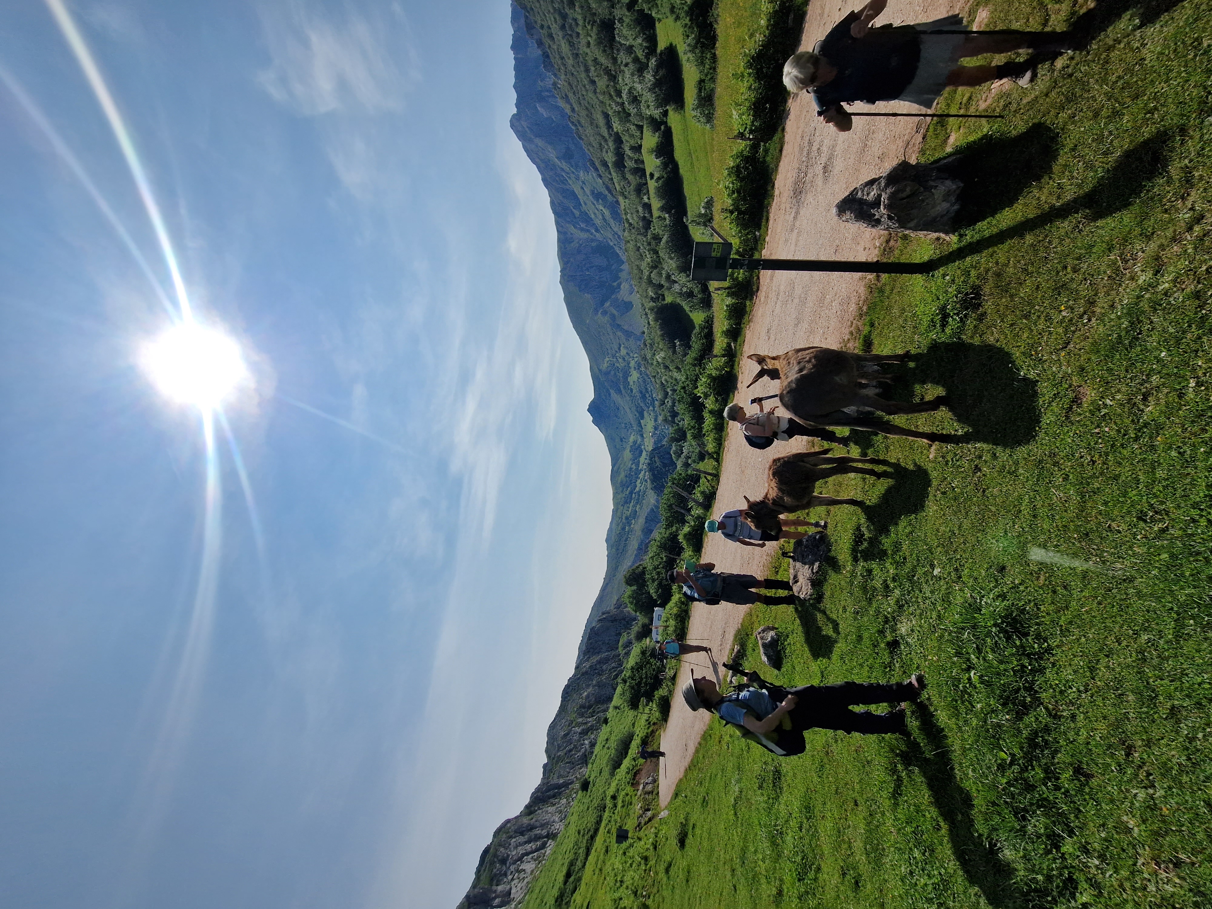 media_DRVDWVYVXKWKJMGU