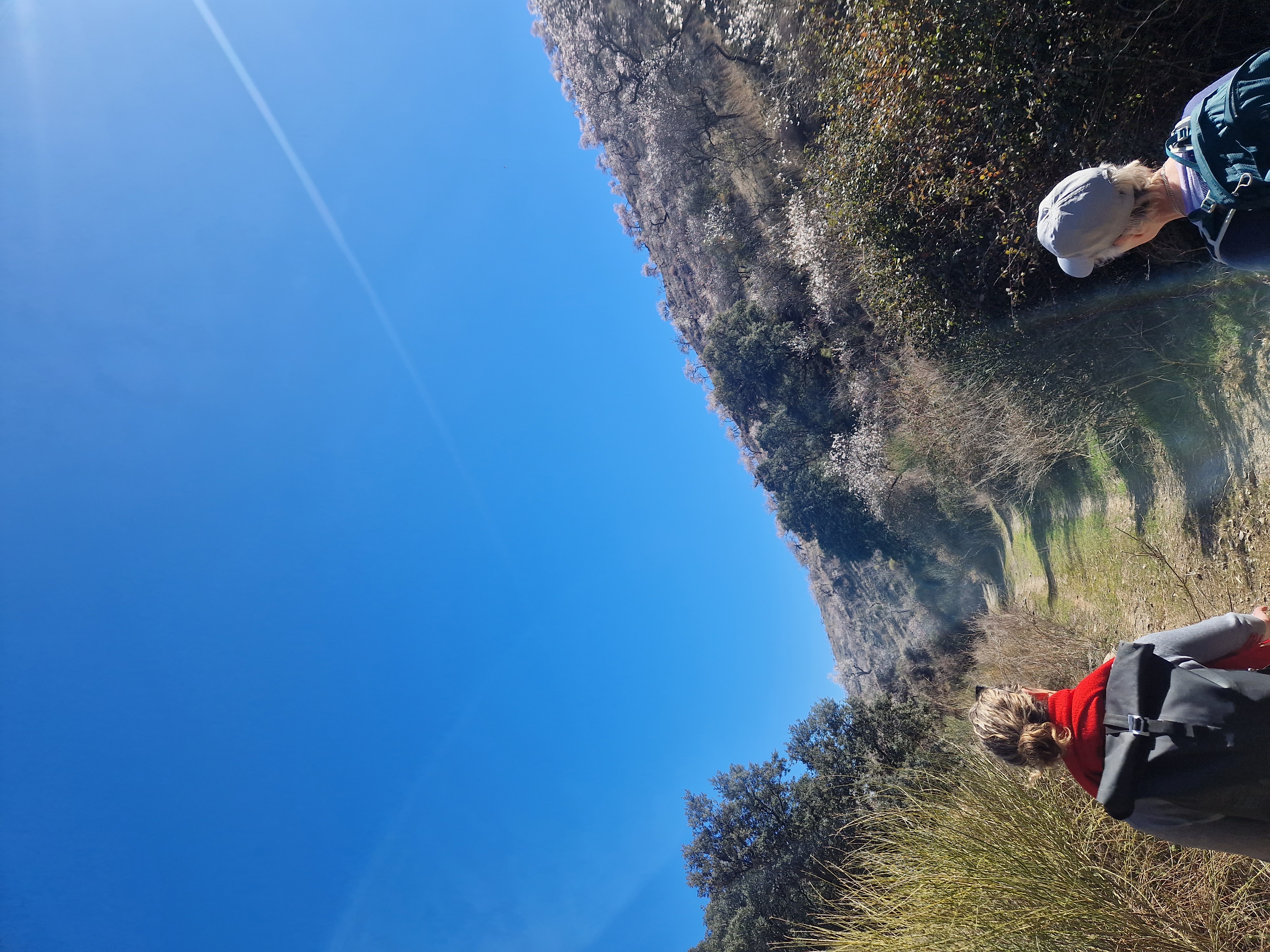 media_JD6TM4RWVLMKRD52