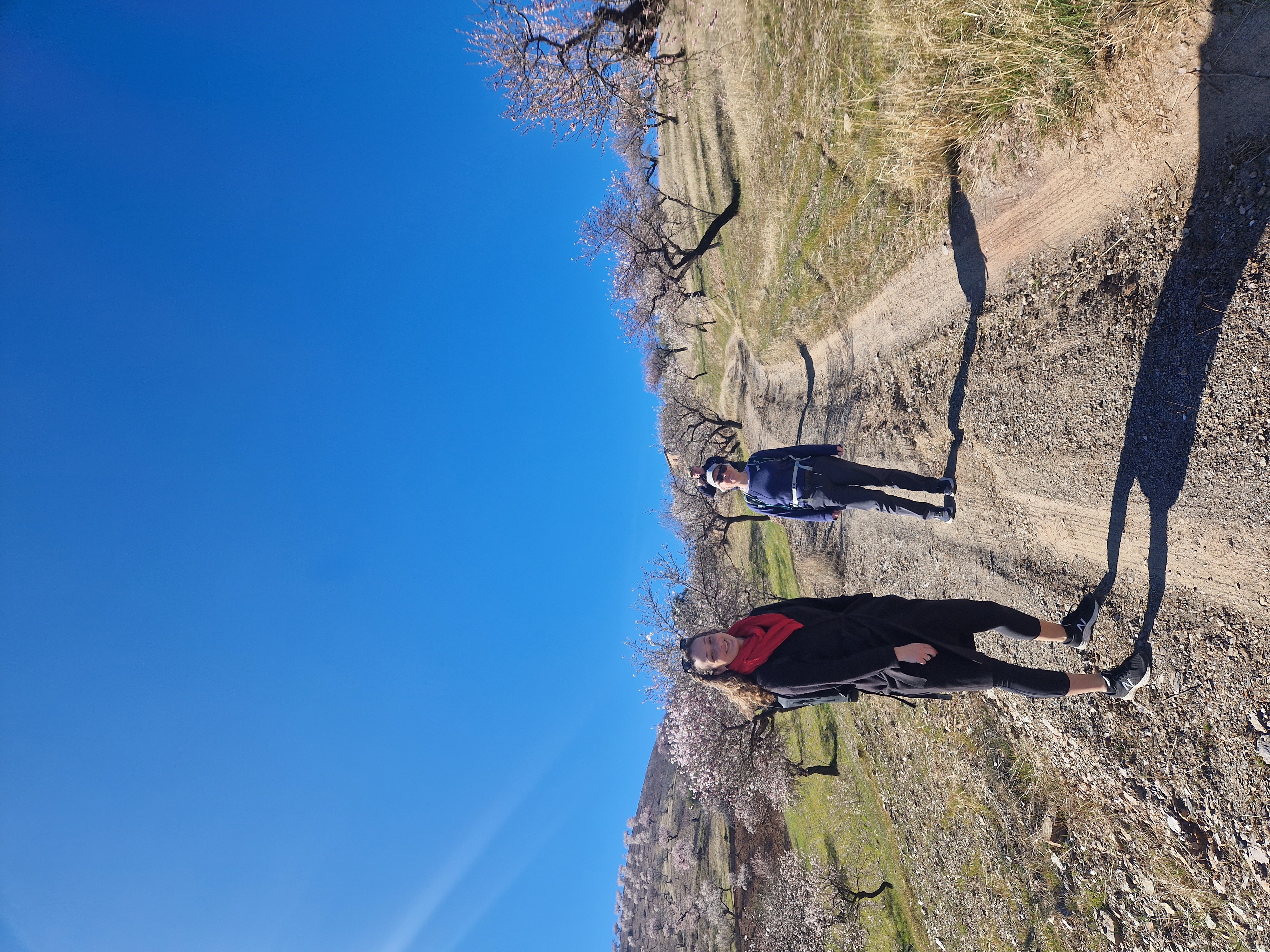 Sierra Nevada: Hiking in Blossom