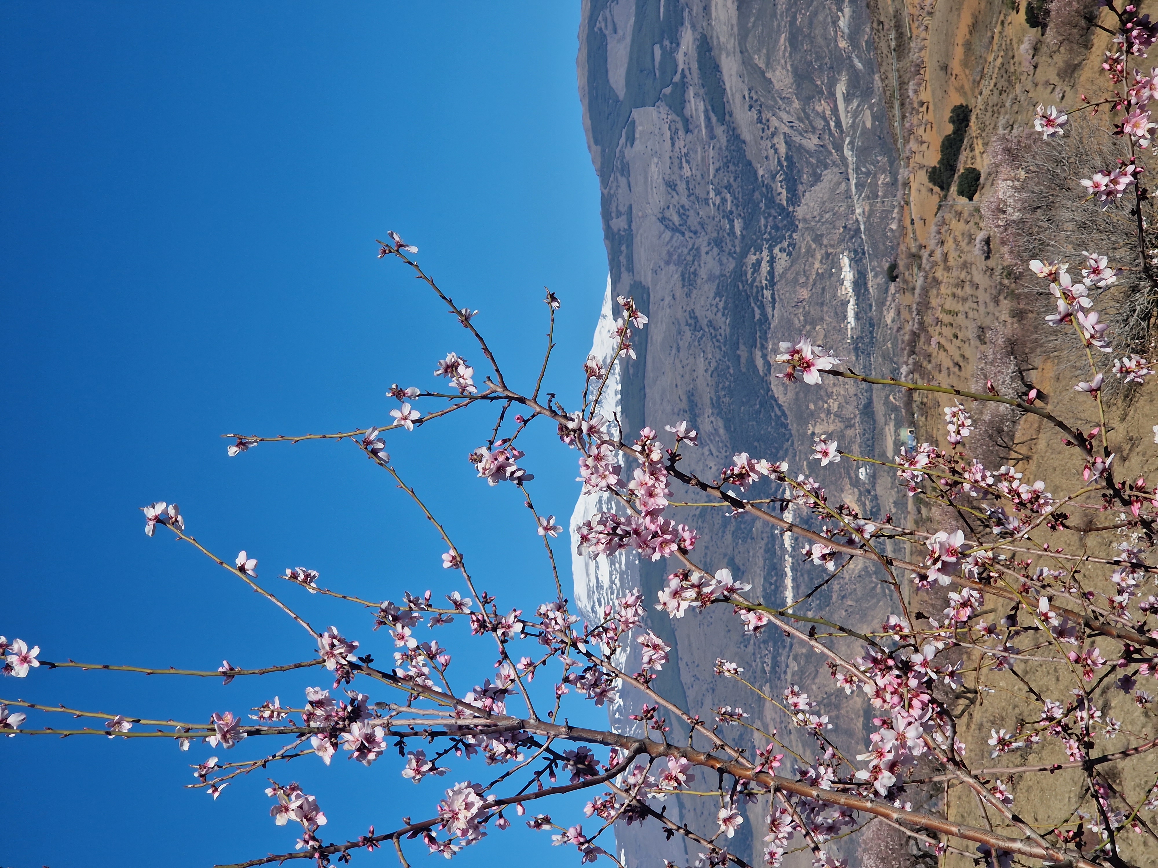Sierra Nevada: Hiking in Blossom