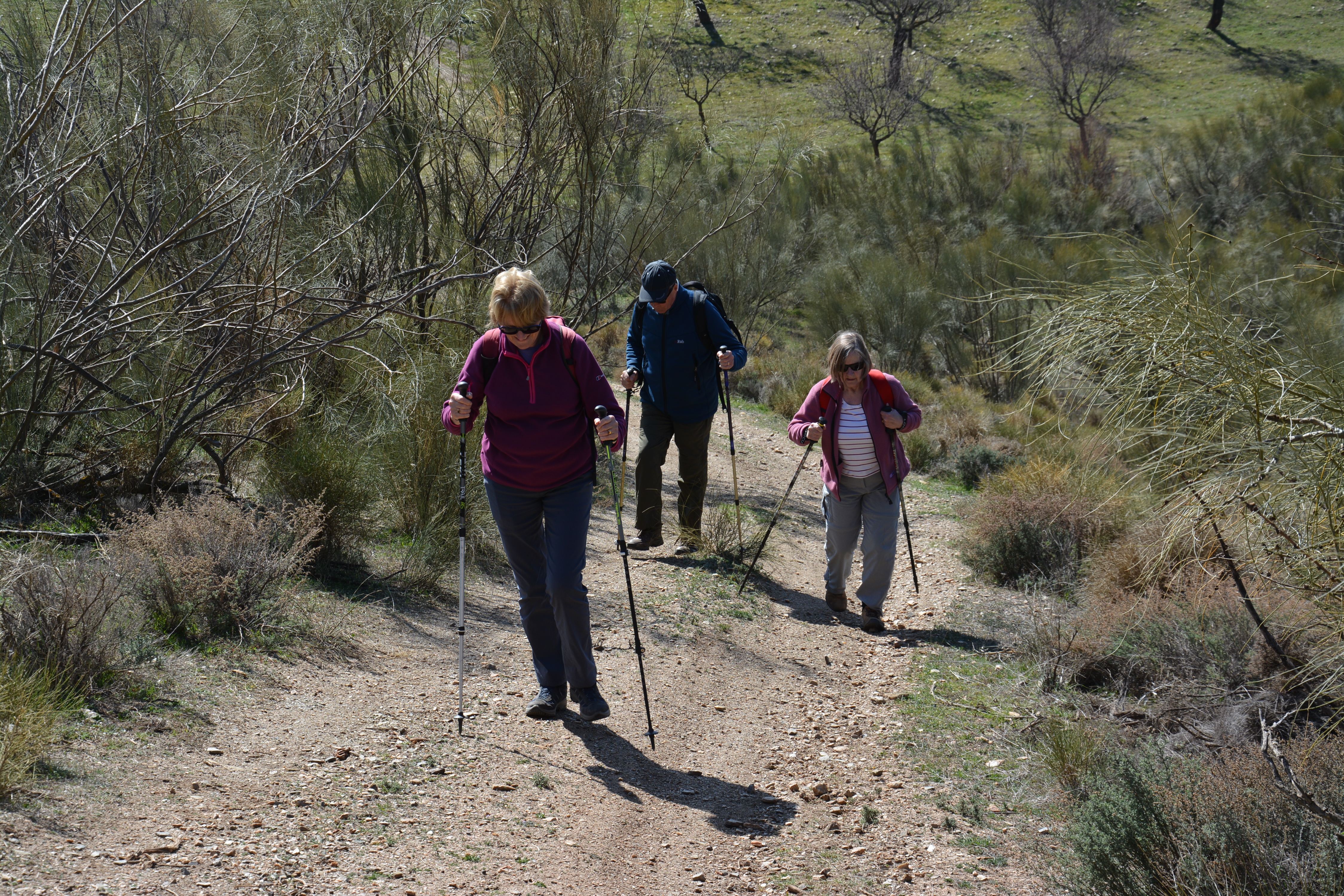 media_NNLST9XTLFERHK24