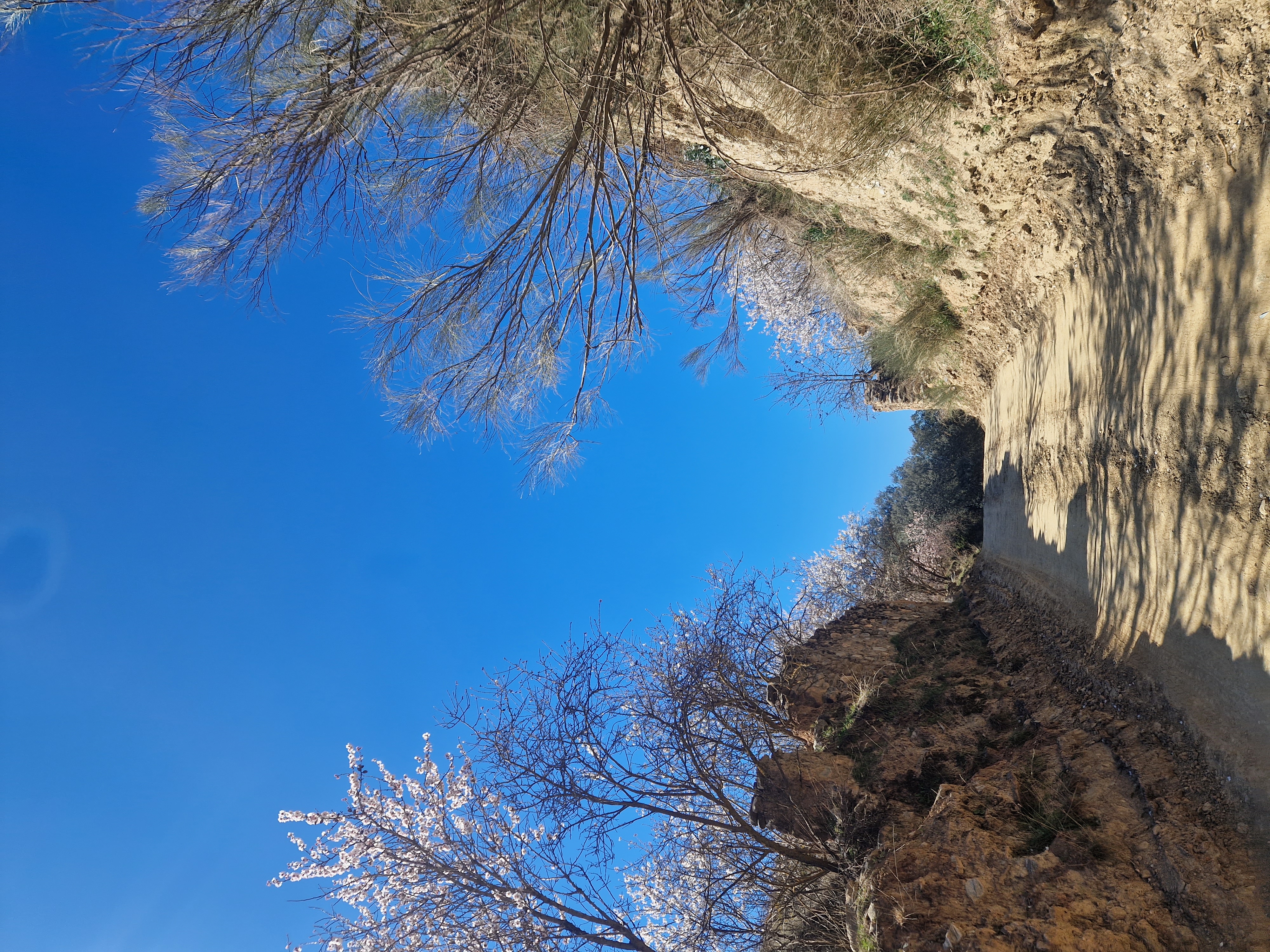 media_QHGMQBA4BD6GUWBY