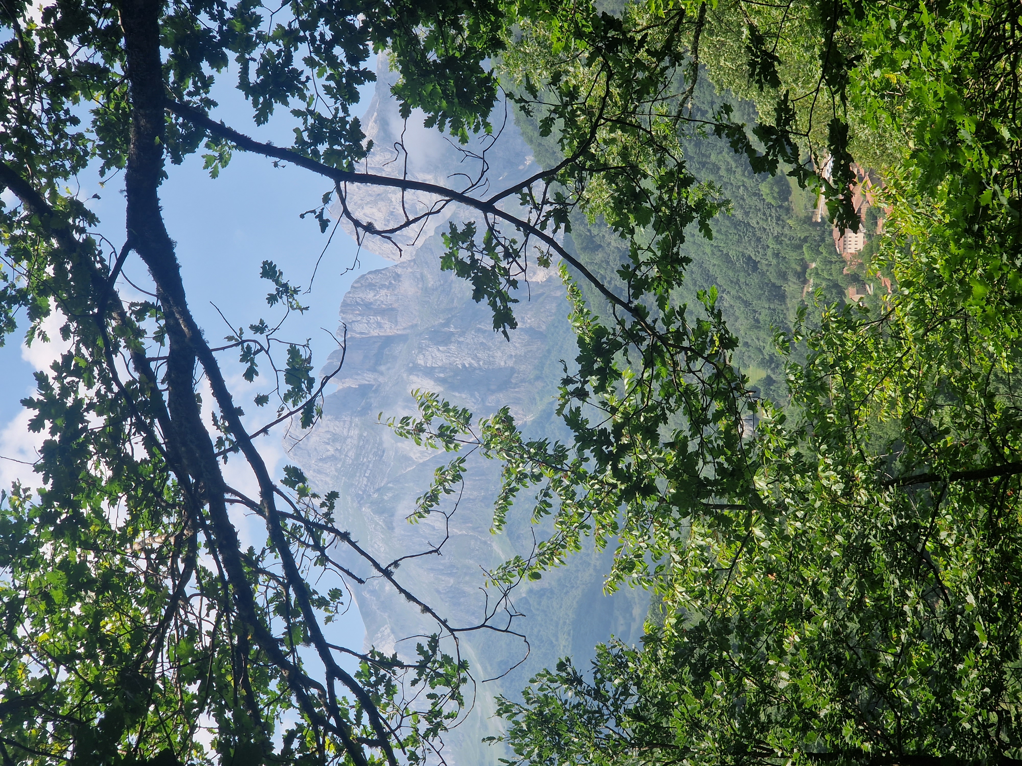 media_RZ89SX4ESMNSB2JP