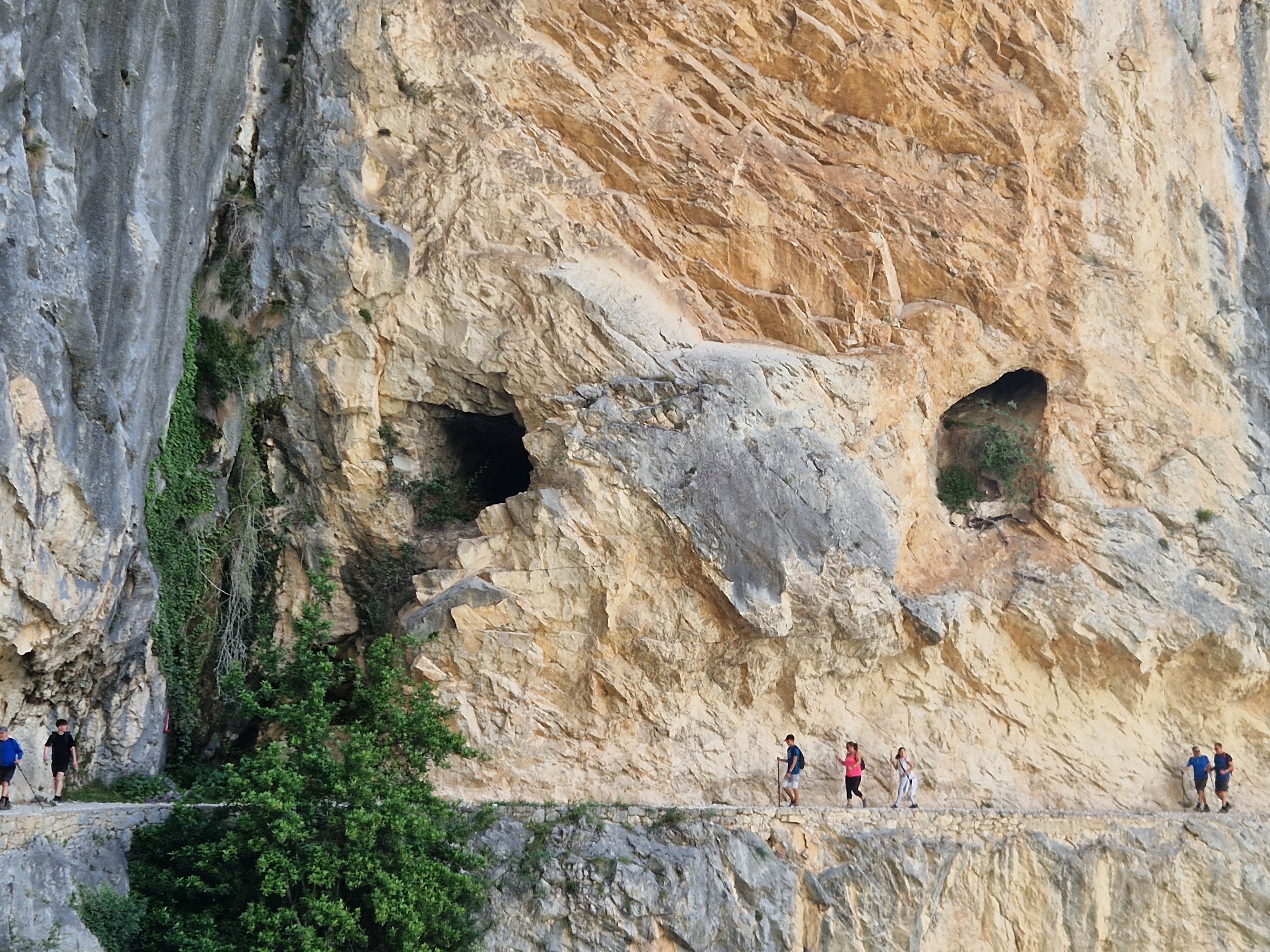 media_T9WCARQ2F9BXB42X