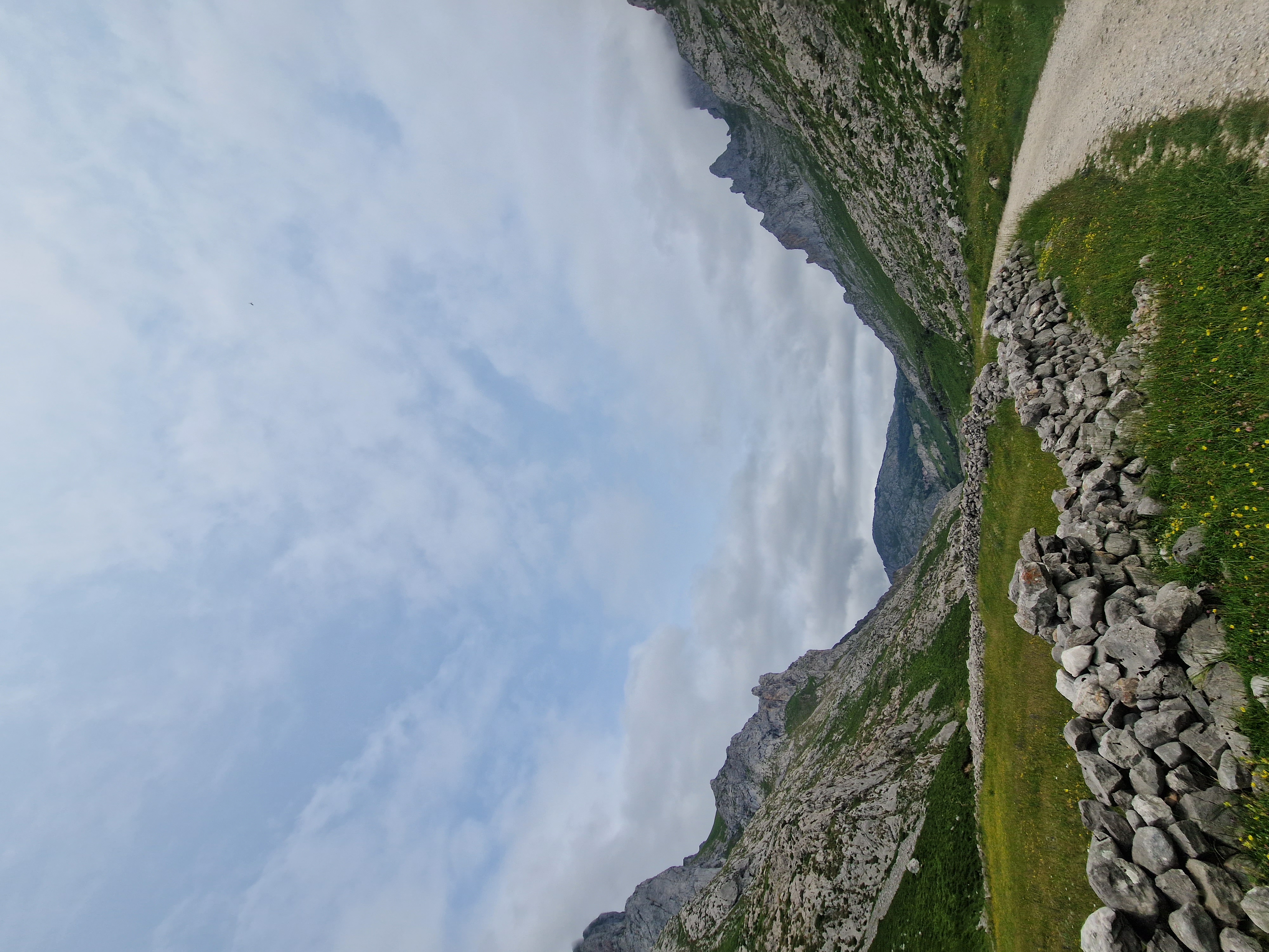 media_TMWQBX3GPJ6TRH8A