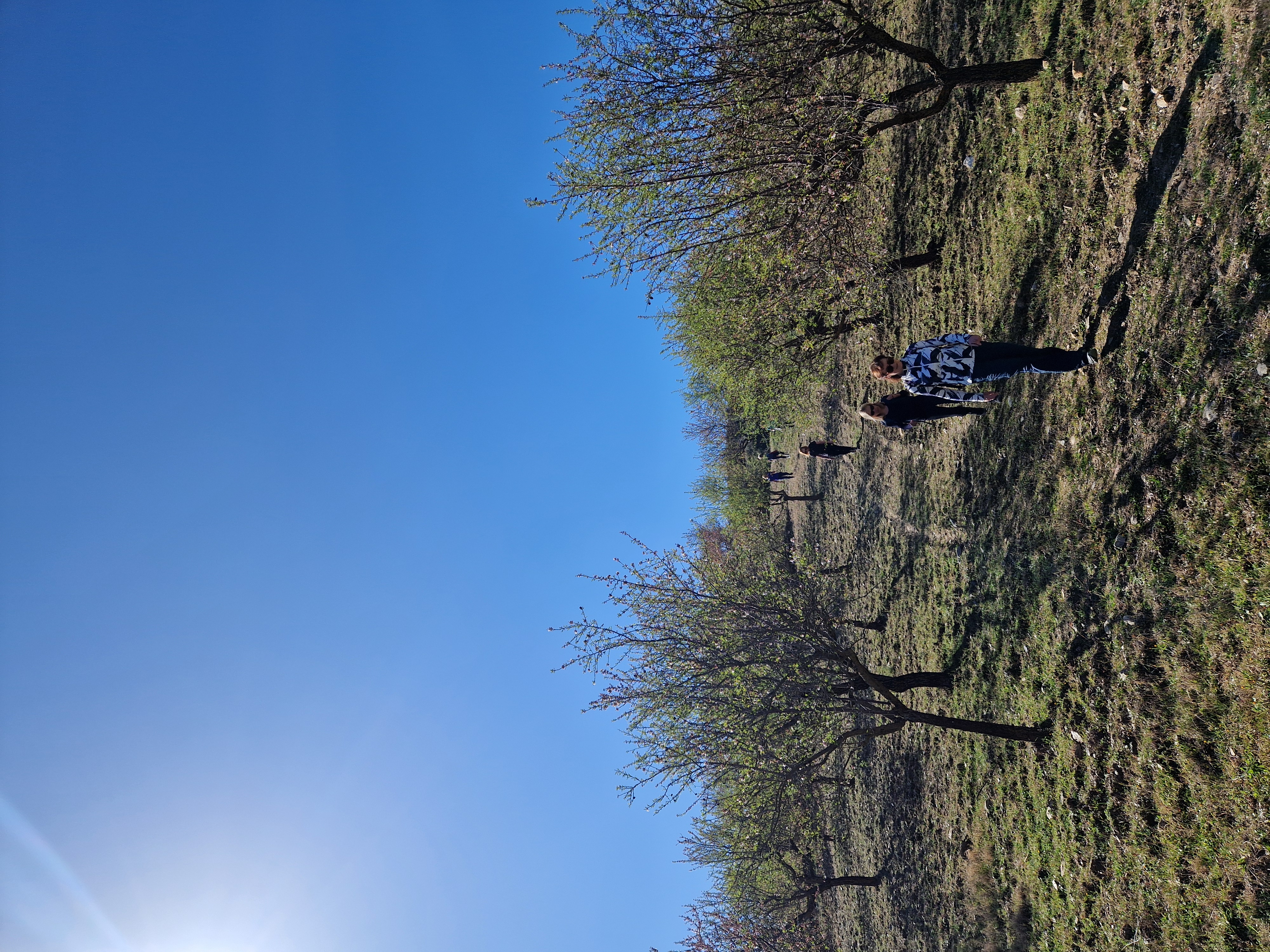 media_U8HVFF597D3J28JV