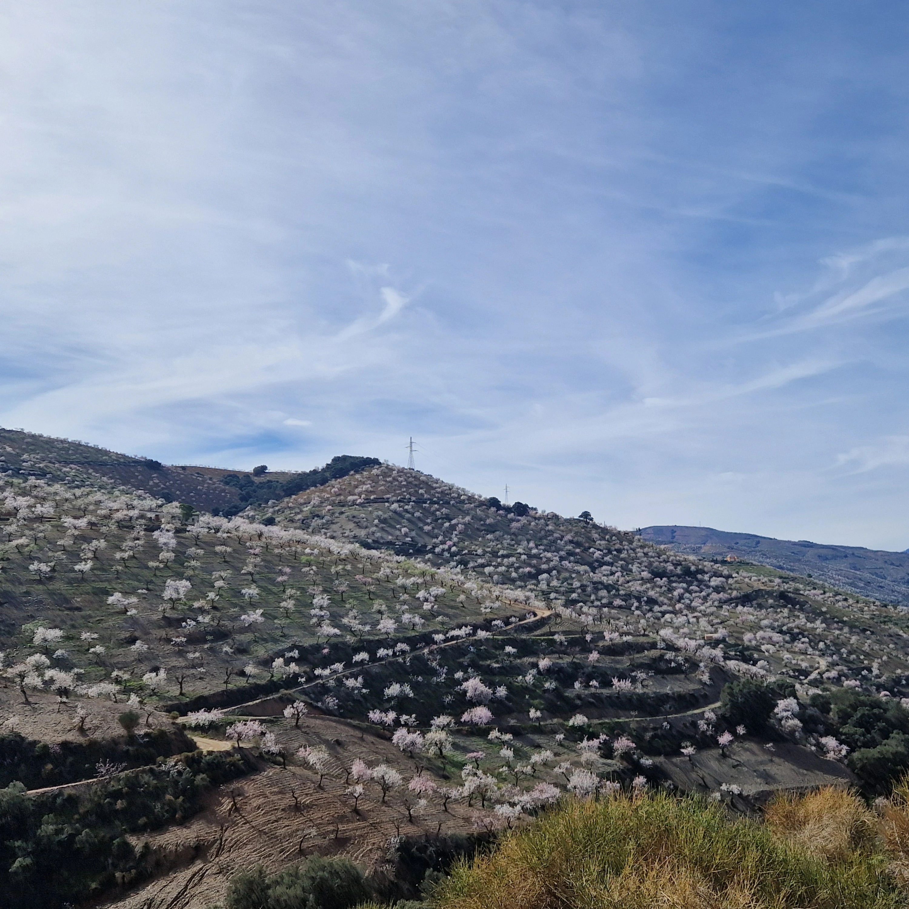 media_U8RUBYZR2J77XX2Y