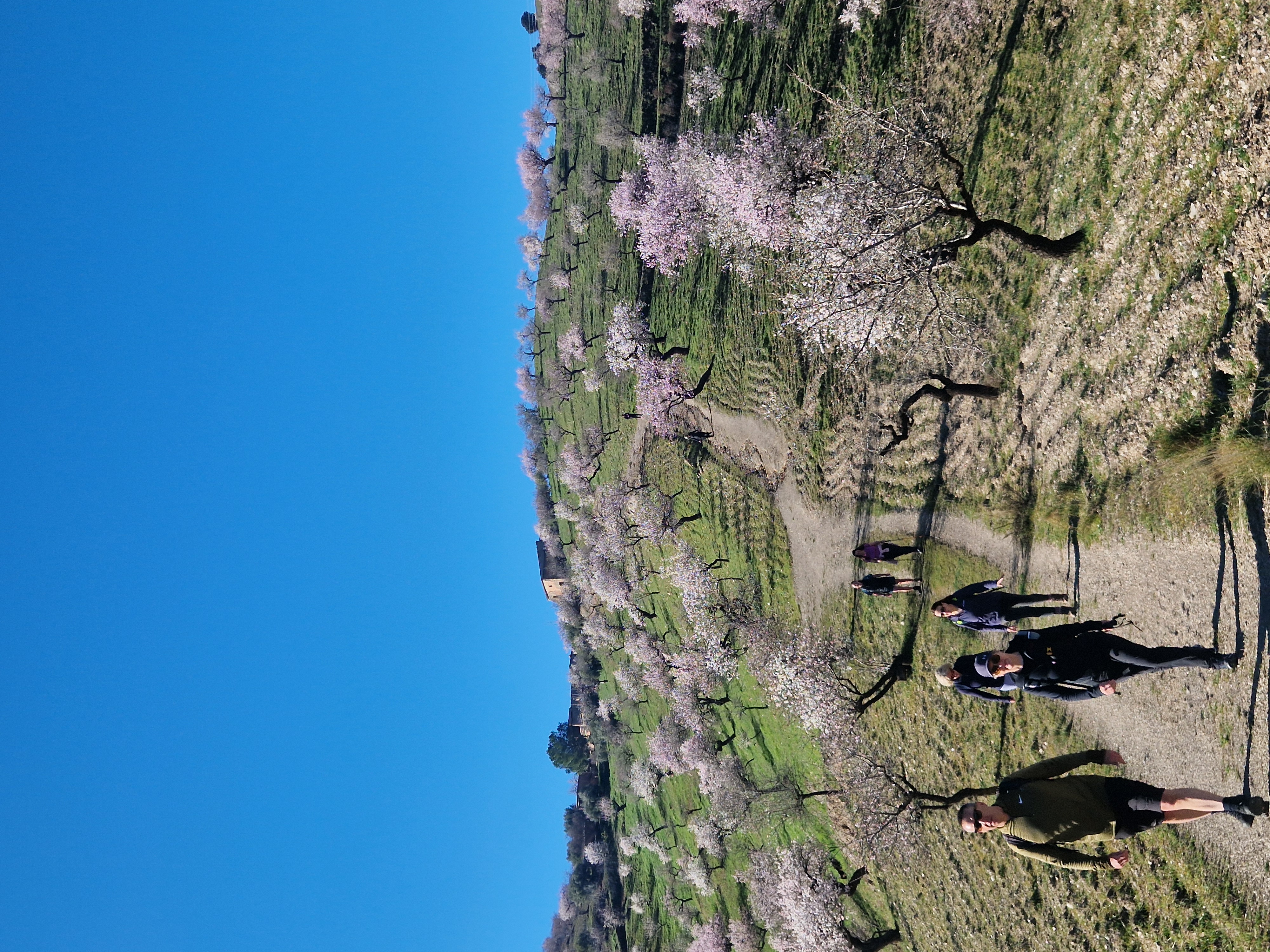 media_URWEAPDBMJFXZRAN