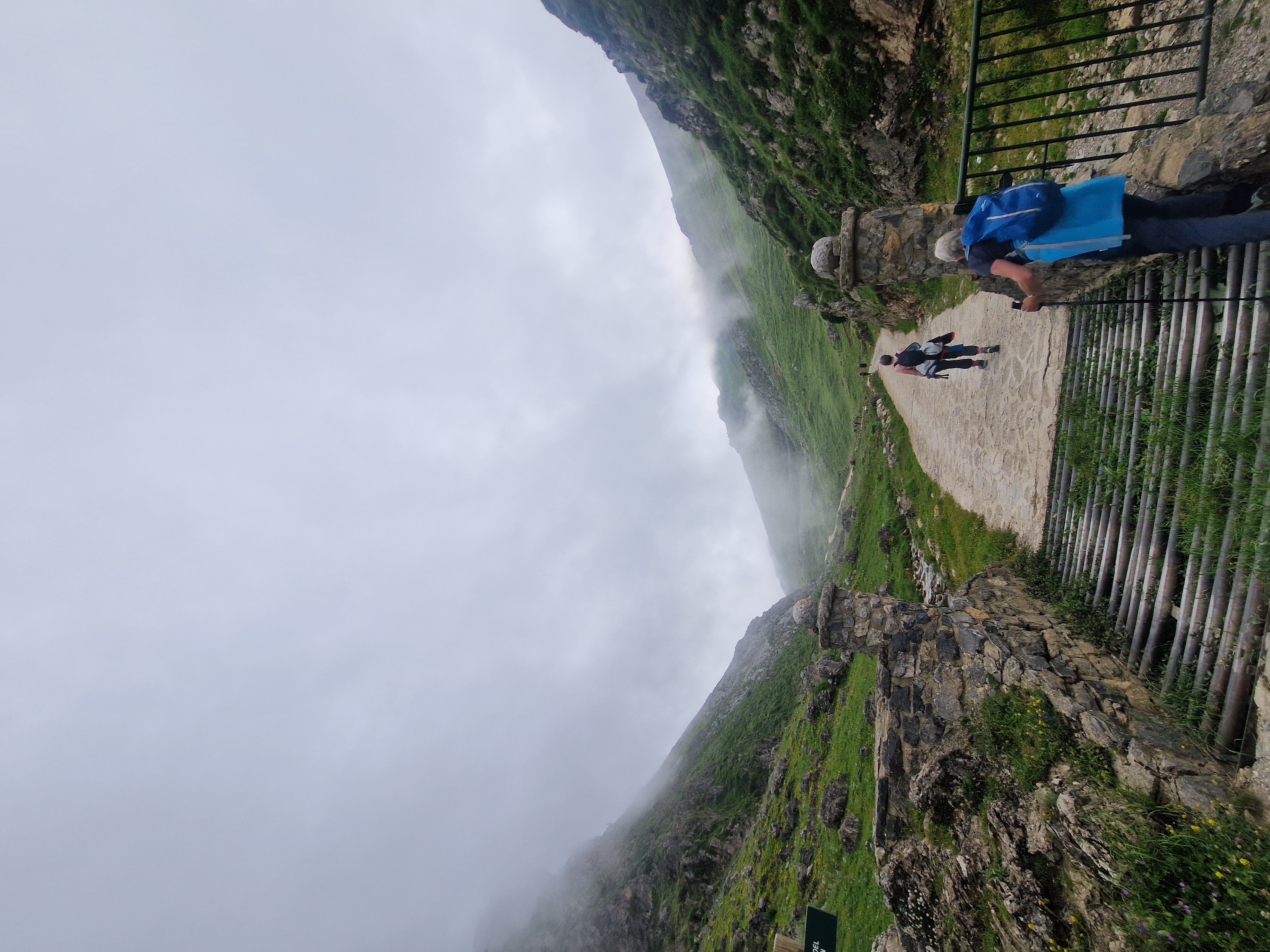 media_WPJ3HR2N6VVQD55B