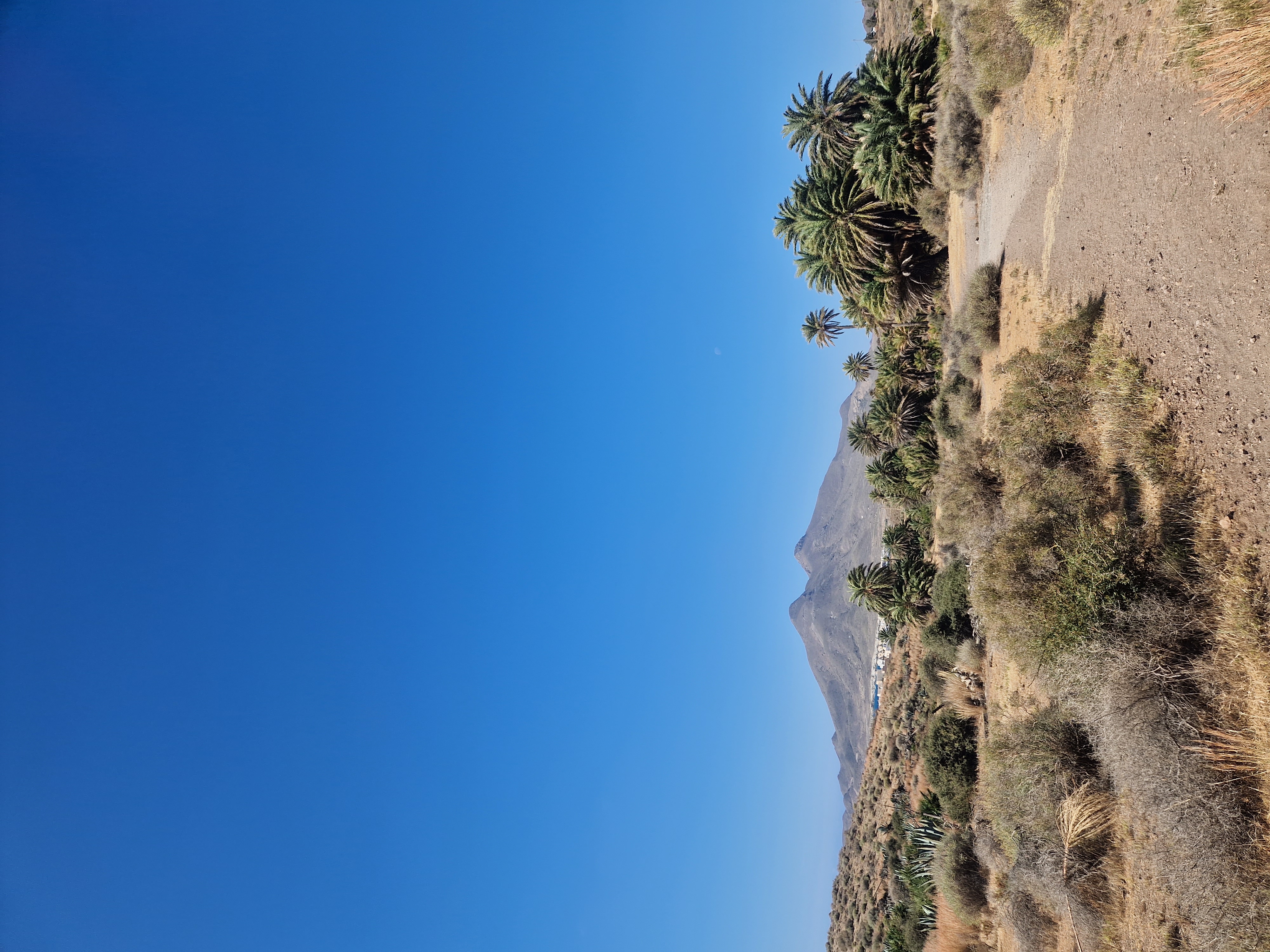 media_Z66962TFT6GT3R8L