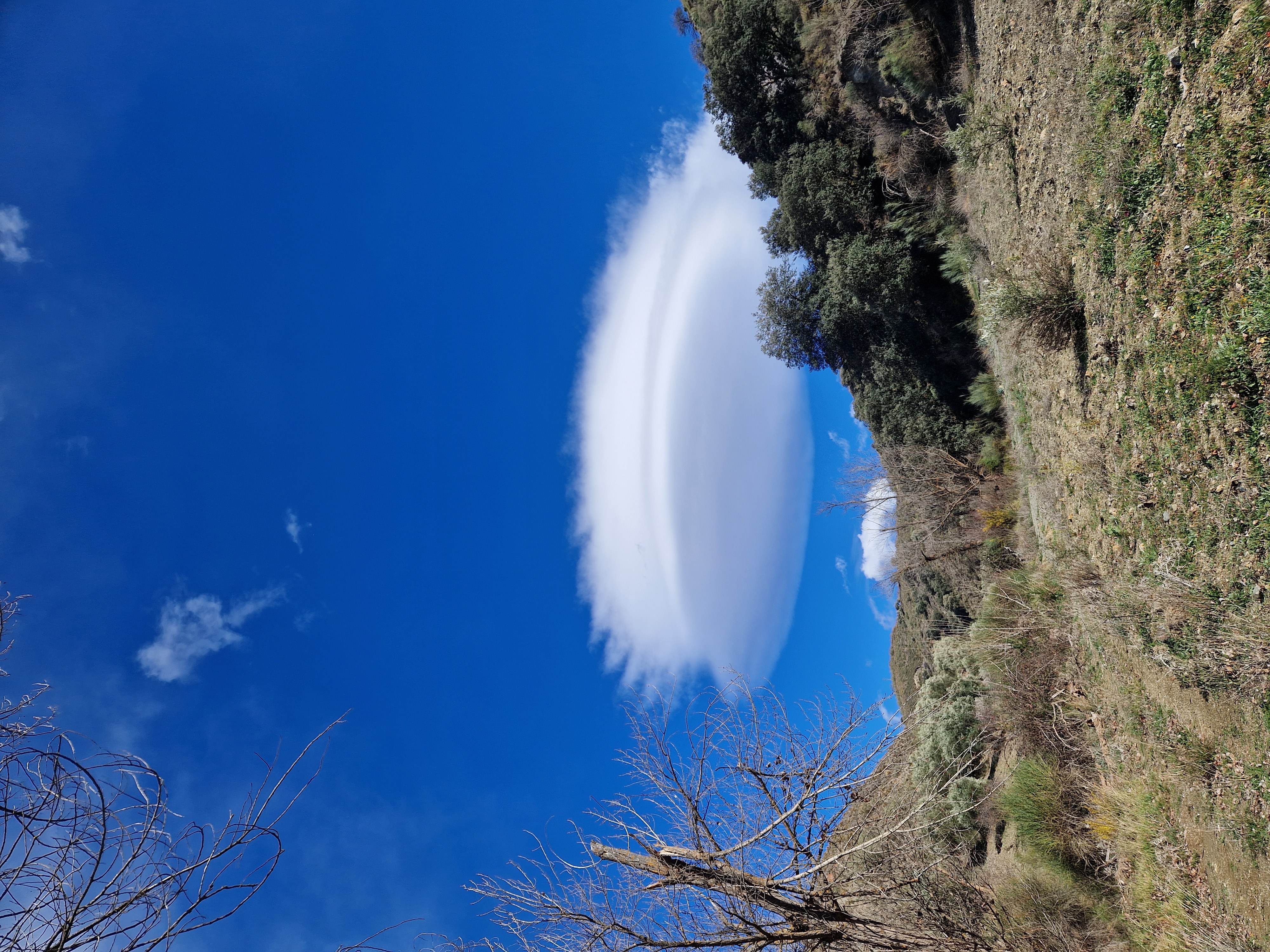 media_ZEFWU6QFNZQX7XV6