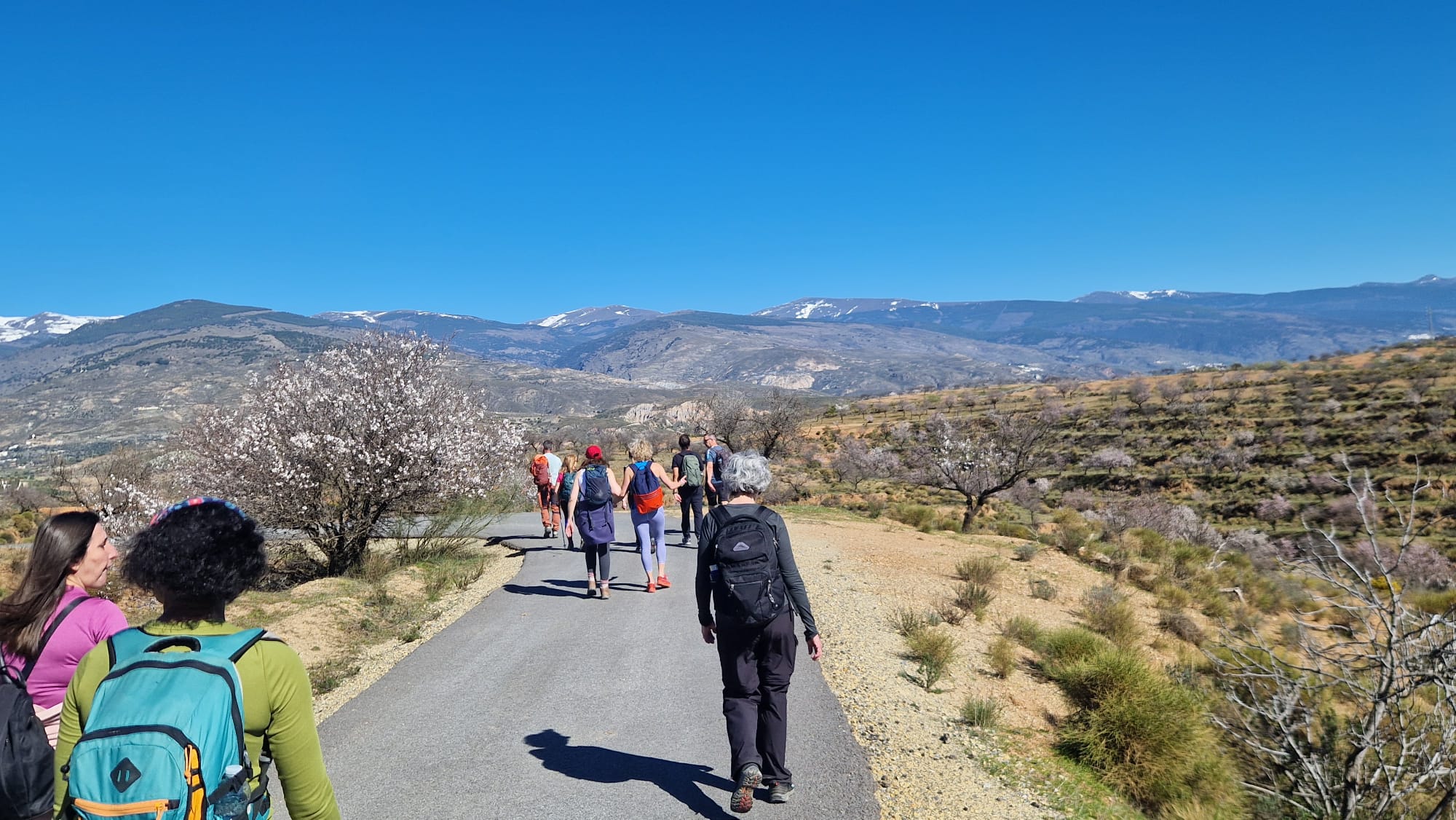 media_ZFC34CT62XHEWM8N