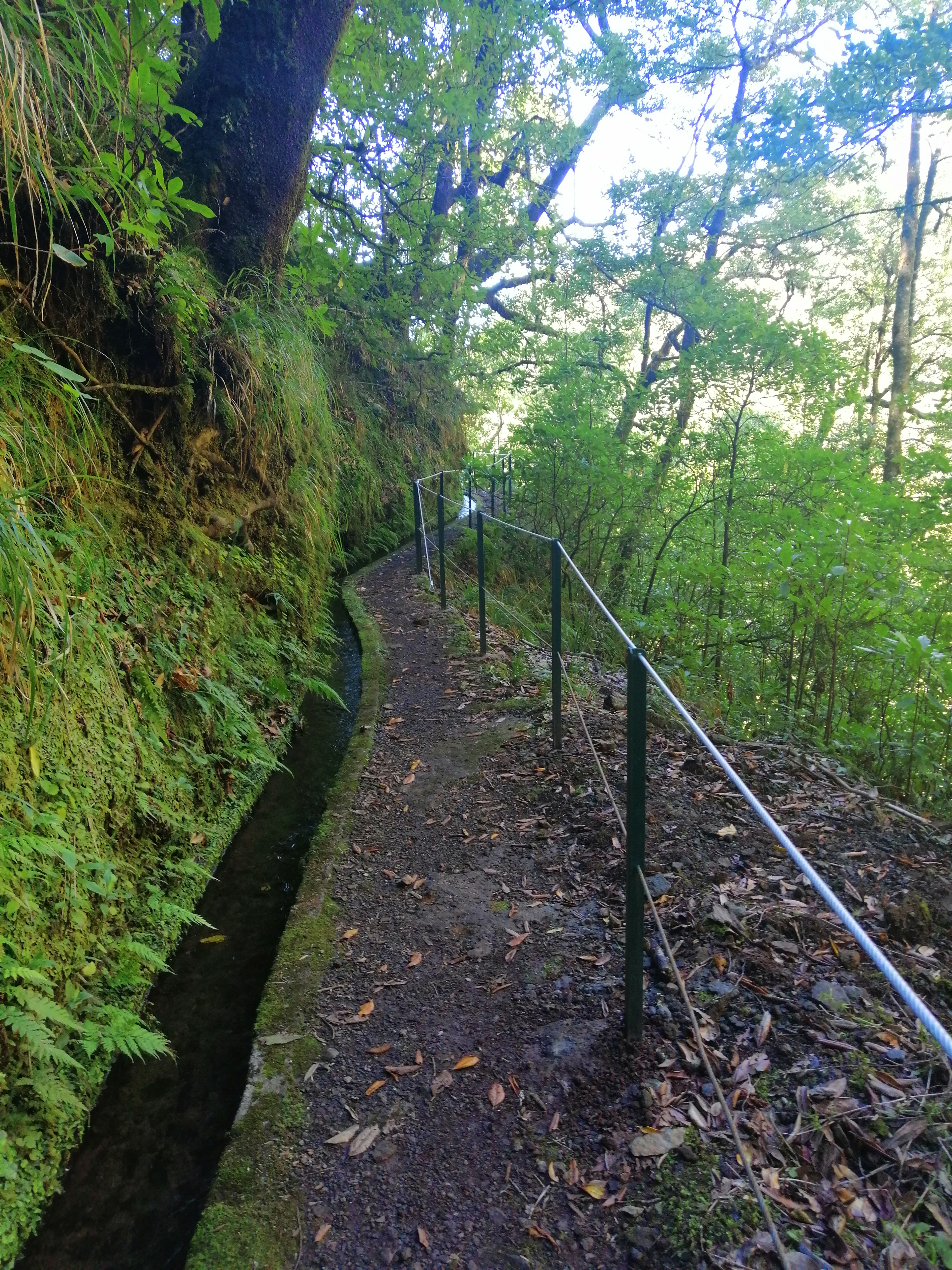 media_JZ8Y5TAX5HUHK6NW