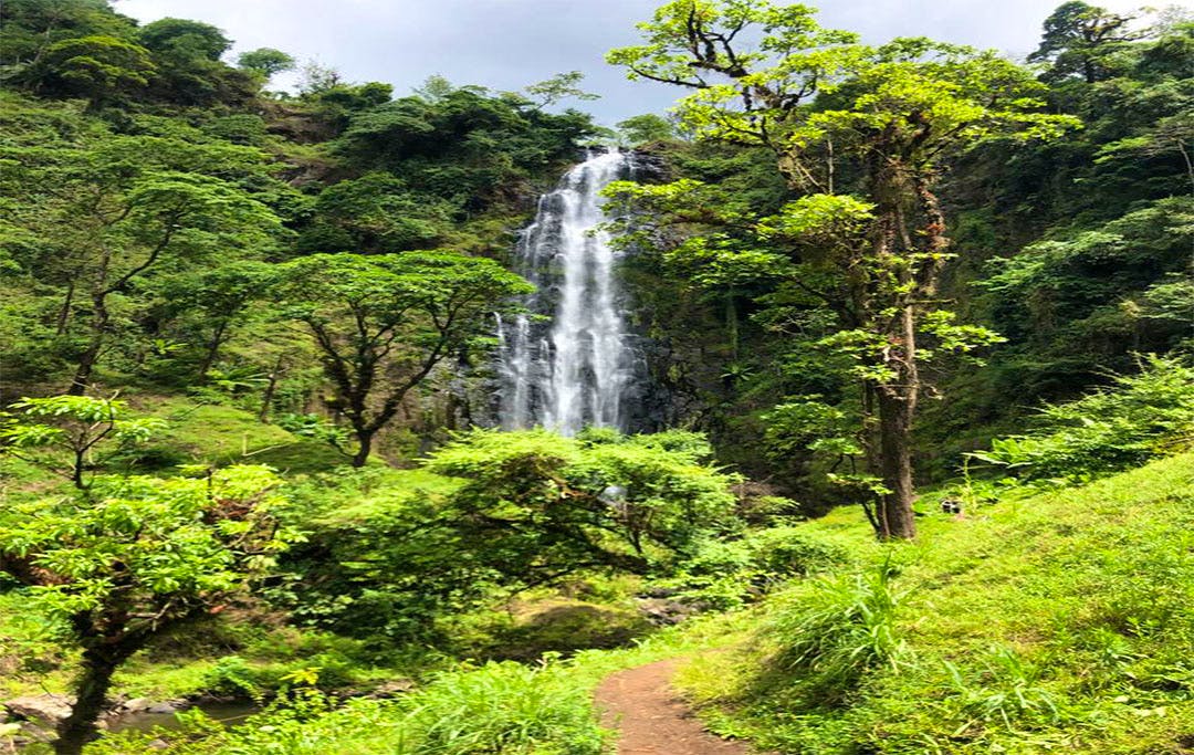 Materuni Waterfalls - Day Trip