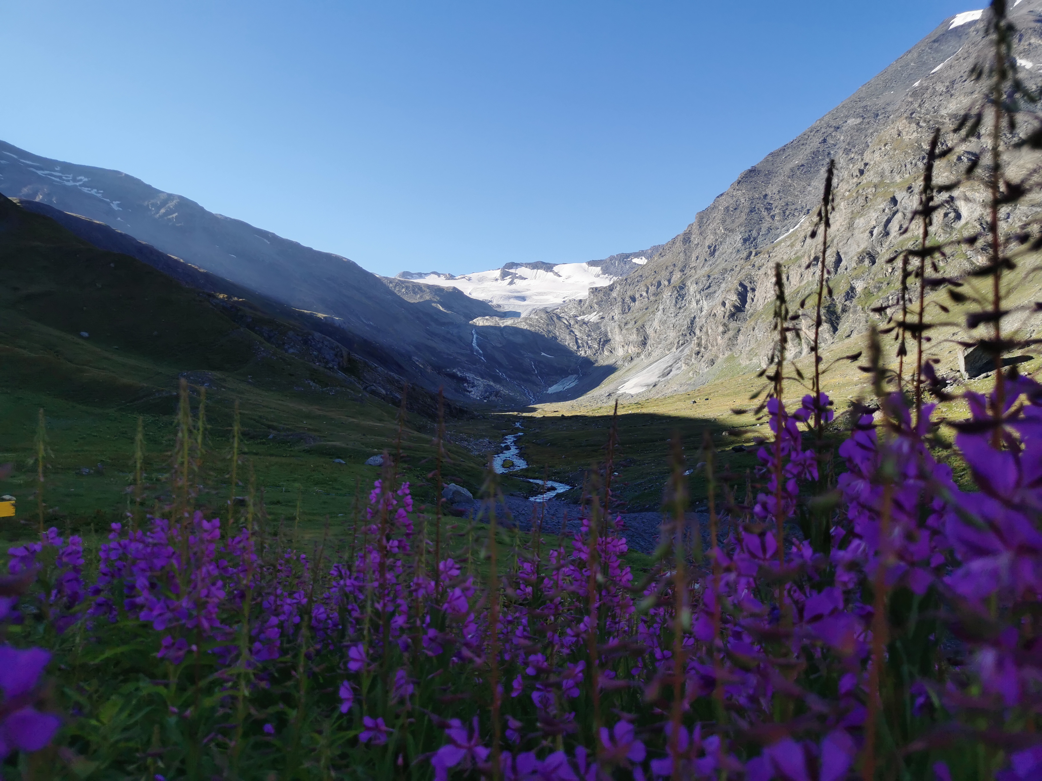 media_2EL9UX48CMF2M35U