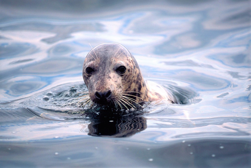 media_5QG277SHMP4XJJNW