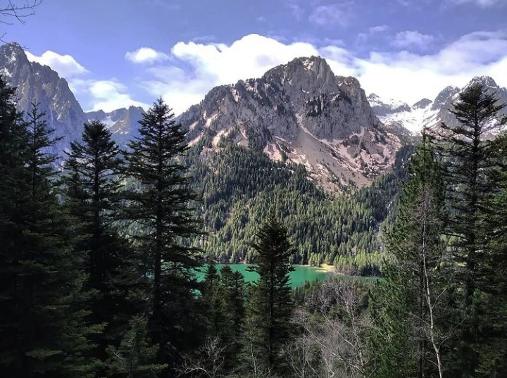 media_6L9ZCDY2H8G2KT9D