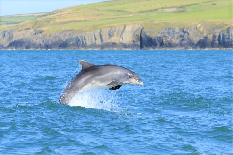 media_9LFSTAVQBP8E96W6