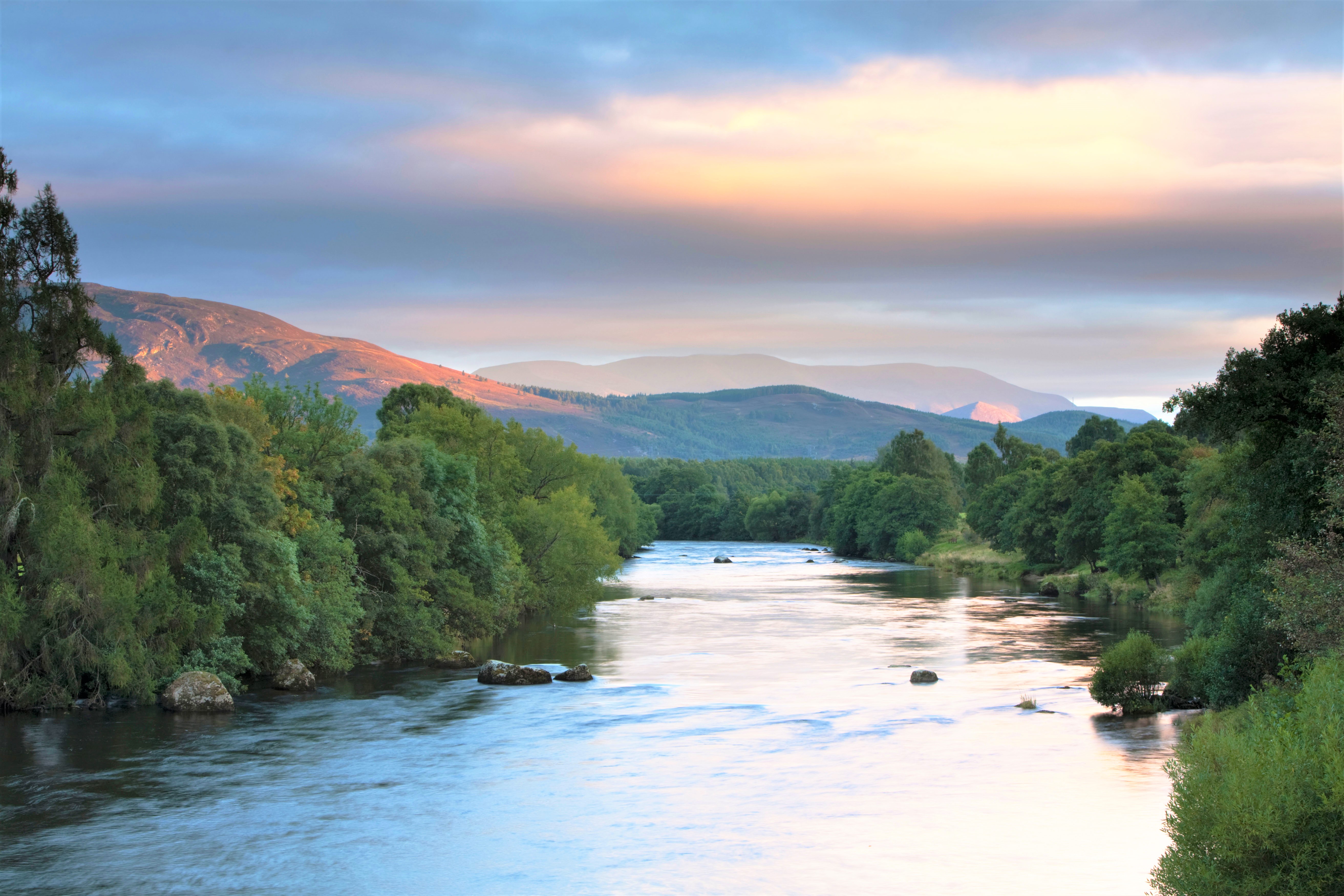 media_BY48LPYXJ5NS2JJH