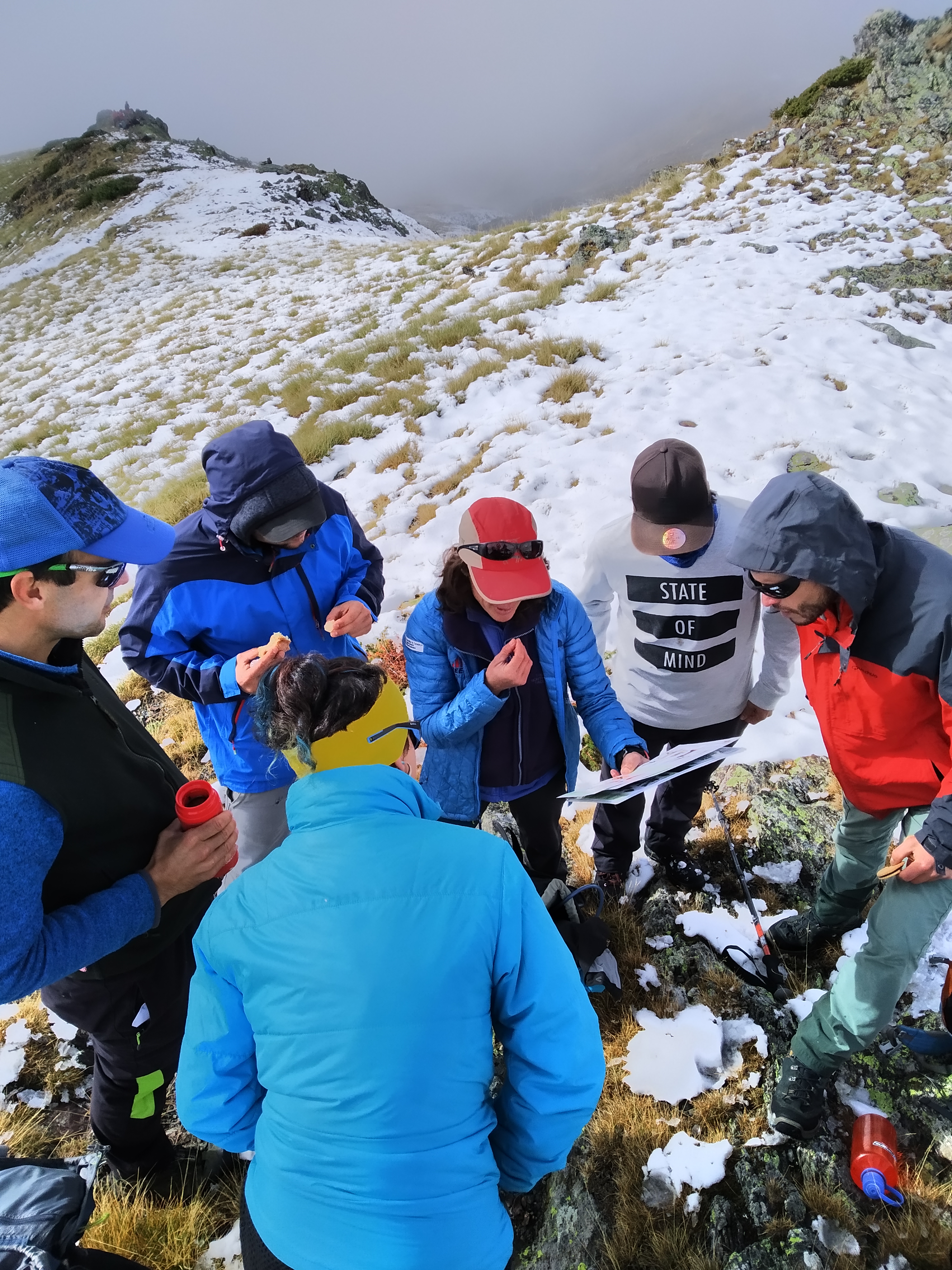 media_LP36NSKZNKAY3SPA