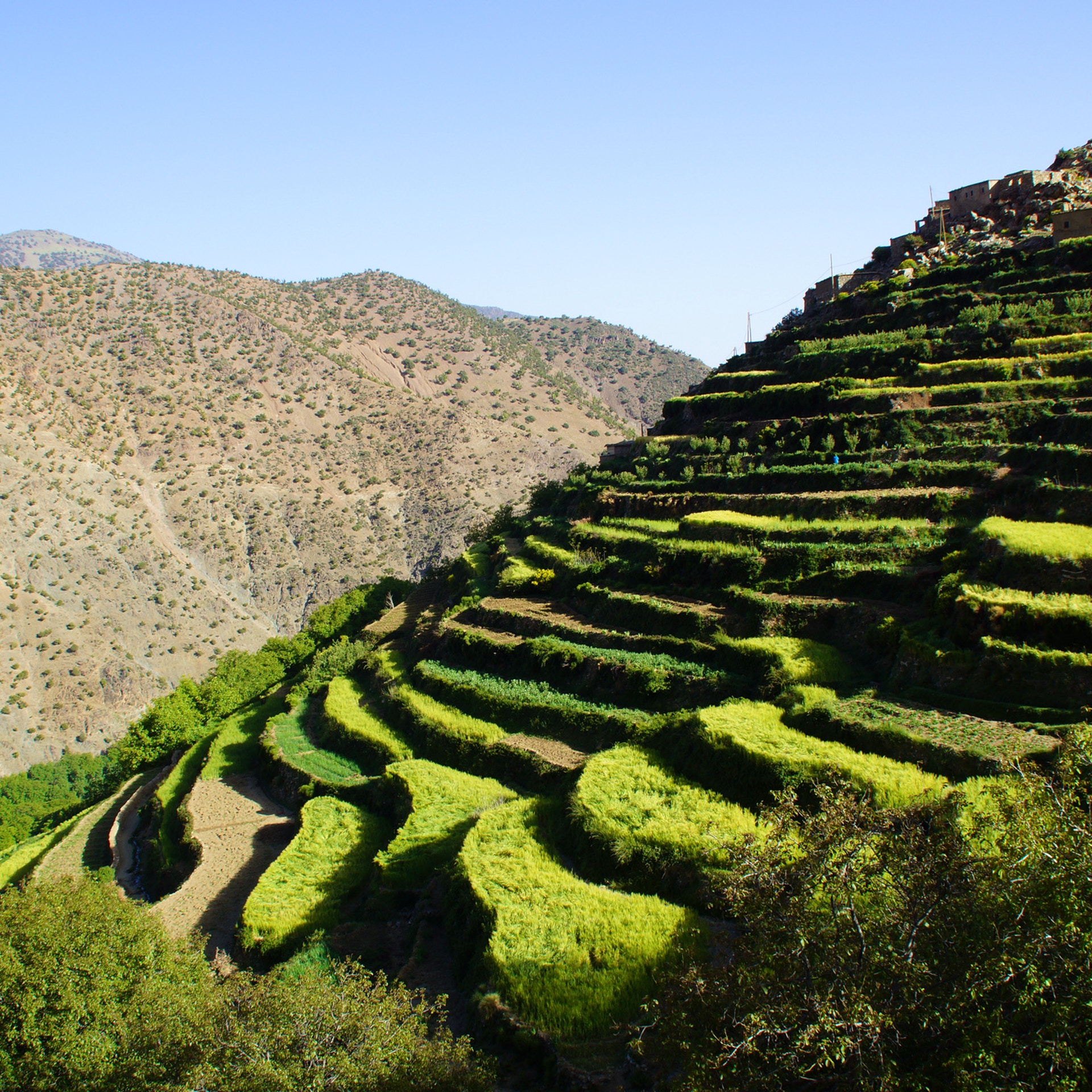 media_VY2679U7YJWYAVG4