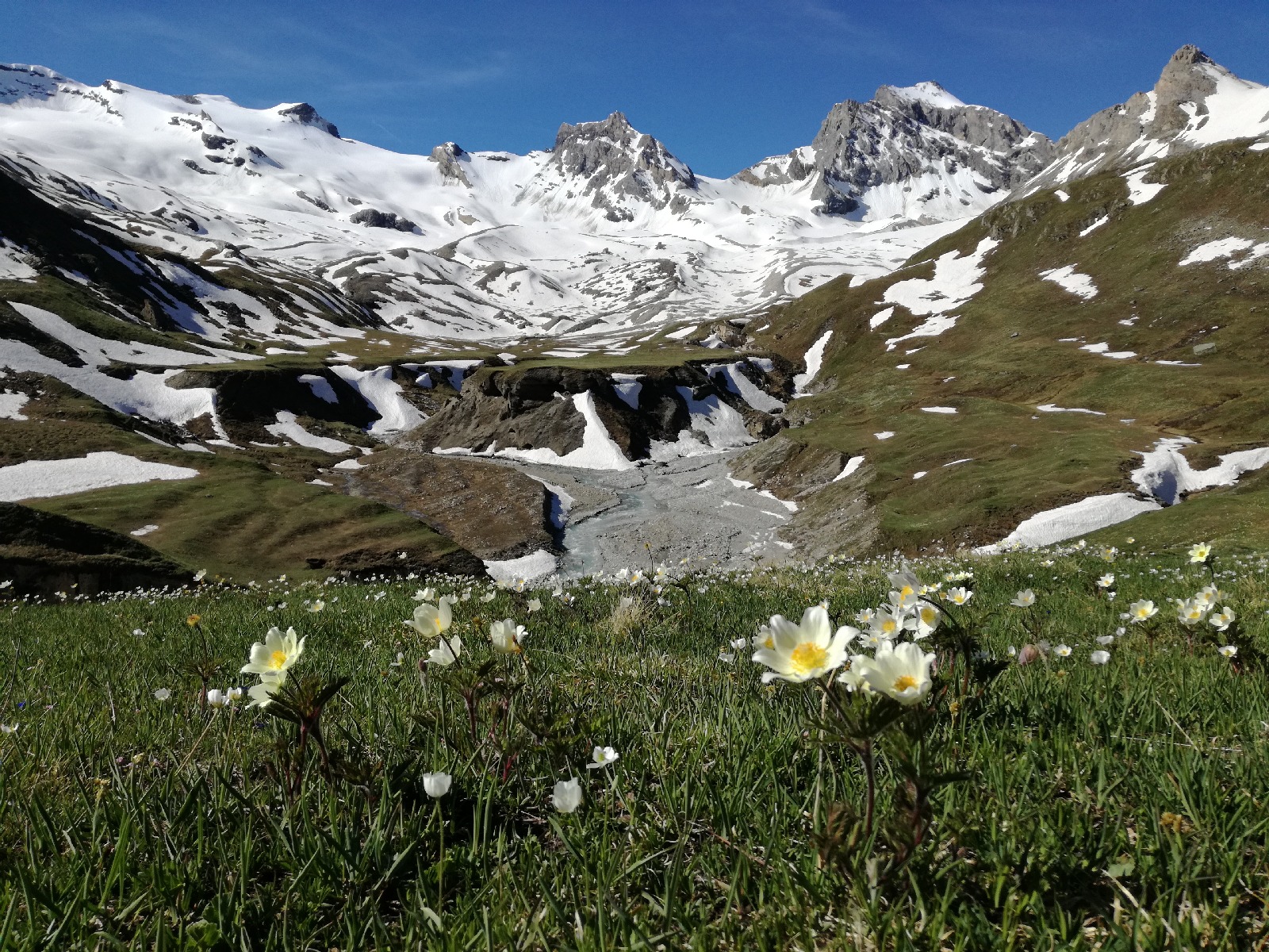 media_Y6RXKG679YU62758