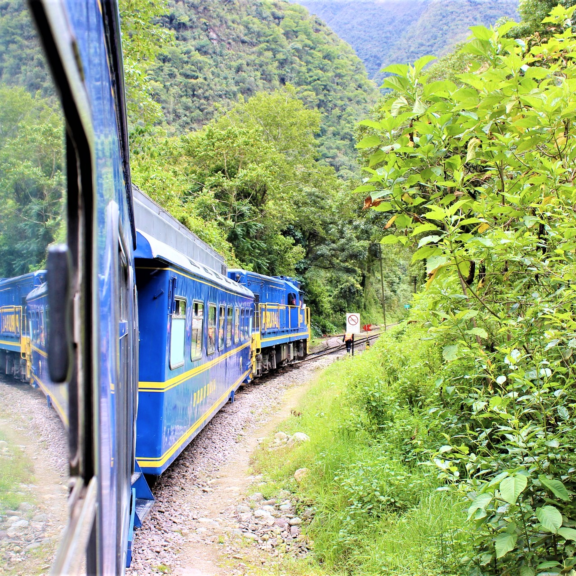 image_53WWLEU63M5A5L9C