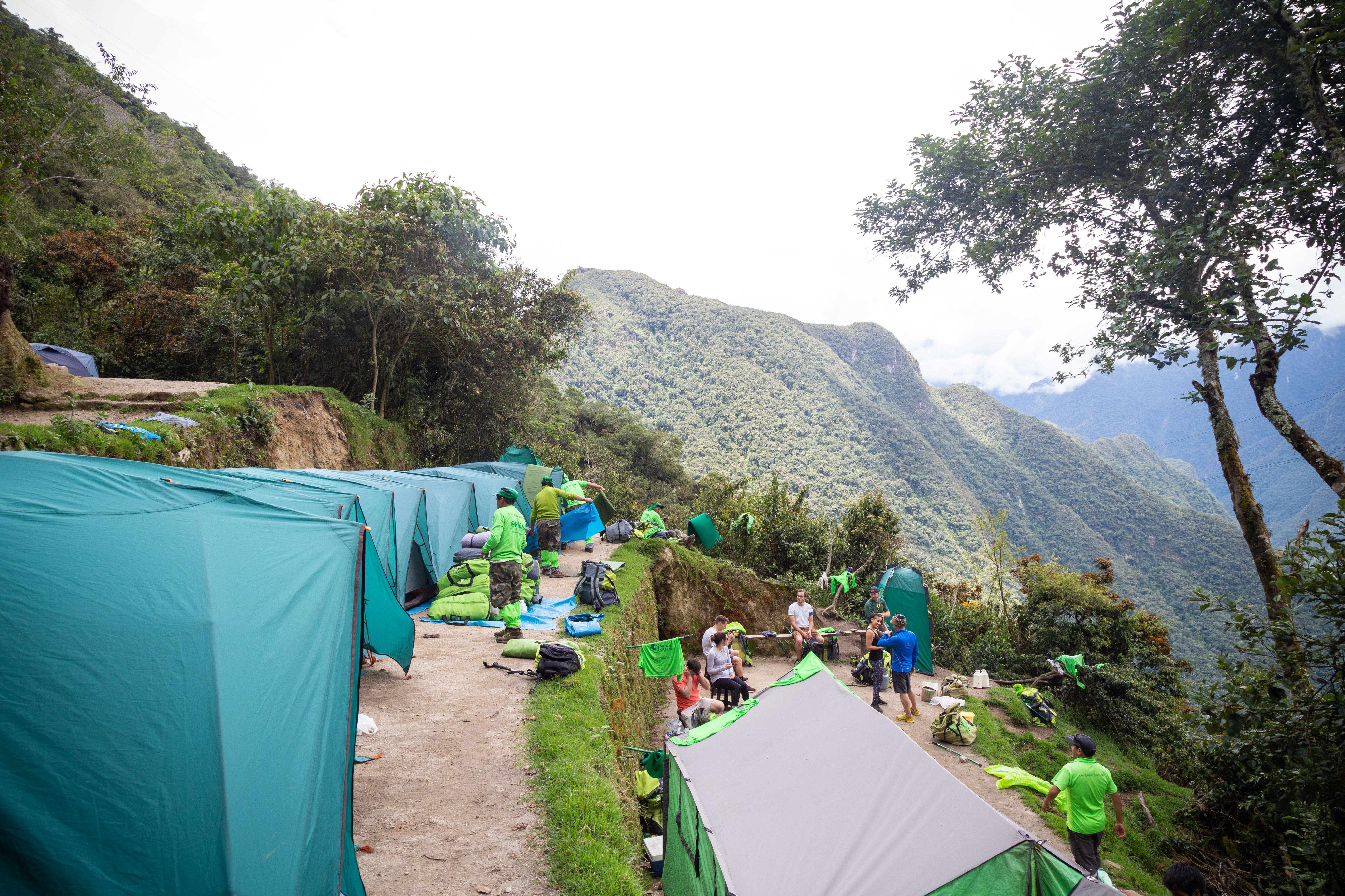 image_2XSD7J4V6AHZS2BC