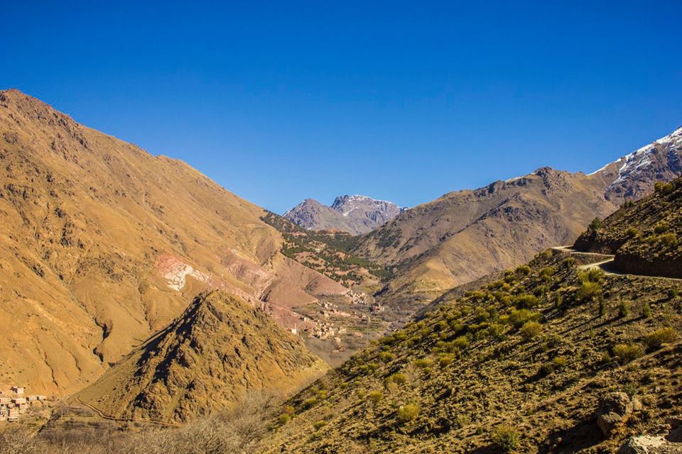 image_VG44AFDT74CRUQK3