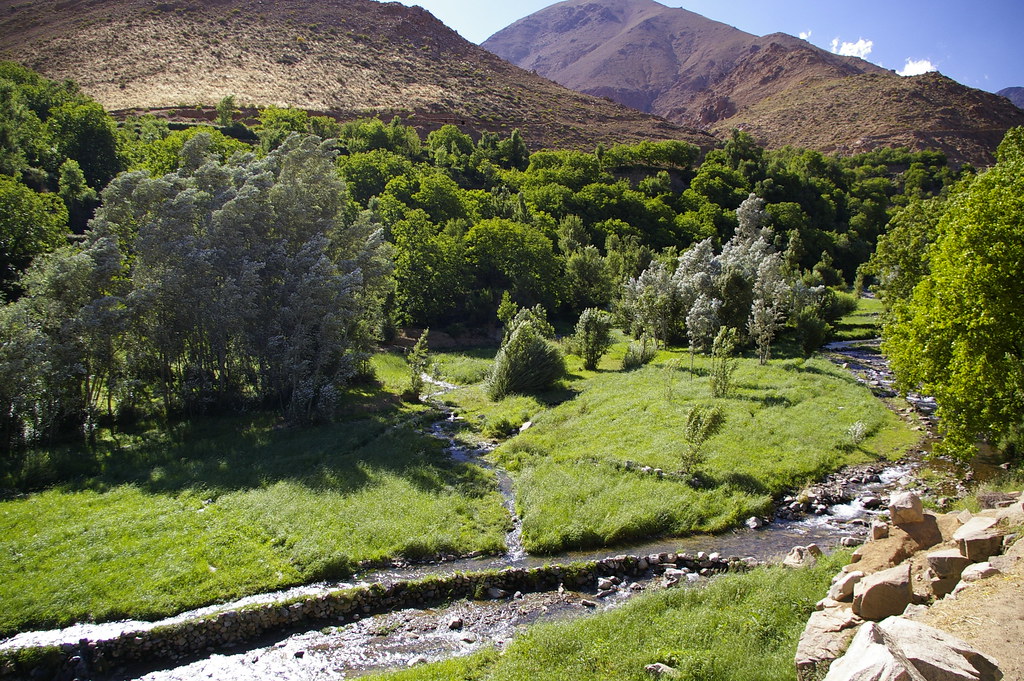 image_E6L5NDSD6BMYC9WW