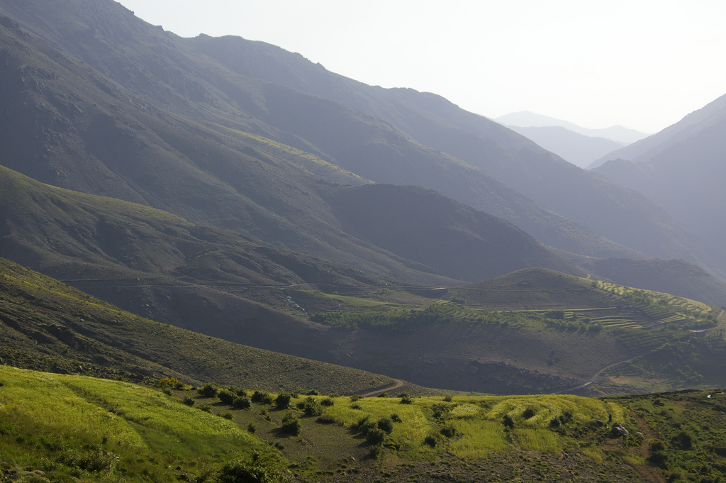 image_YDVN2T3DLTCT6CM3