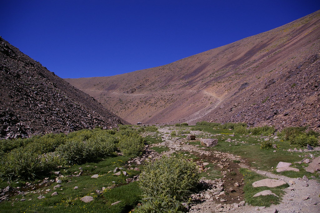 image_QZHMSMW8X8TFCTH6