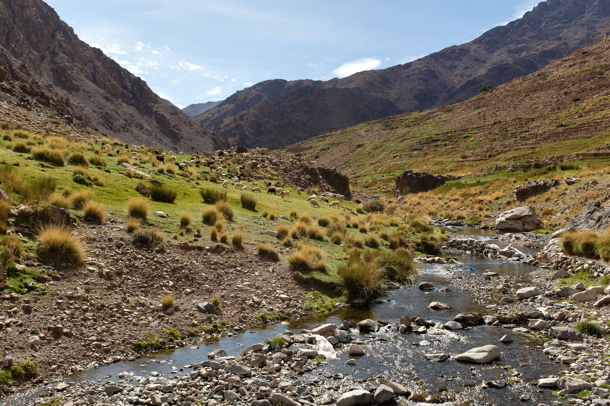 image_L6ZTHJULX2DEVAVN