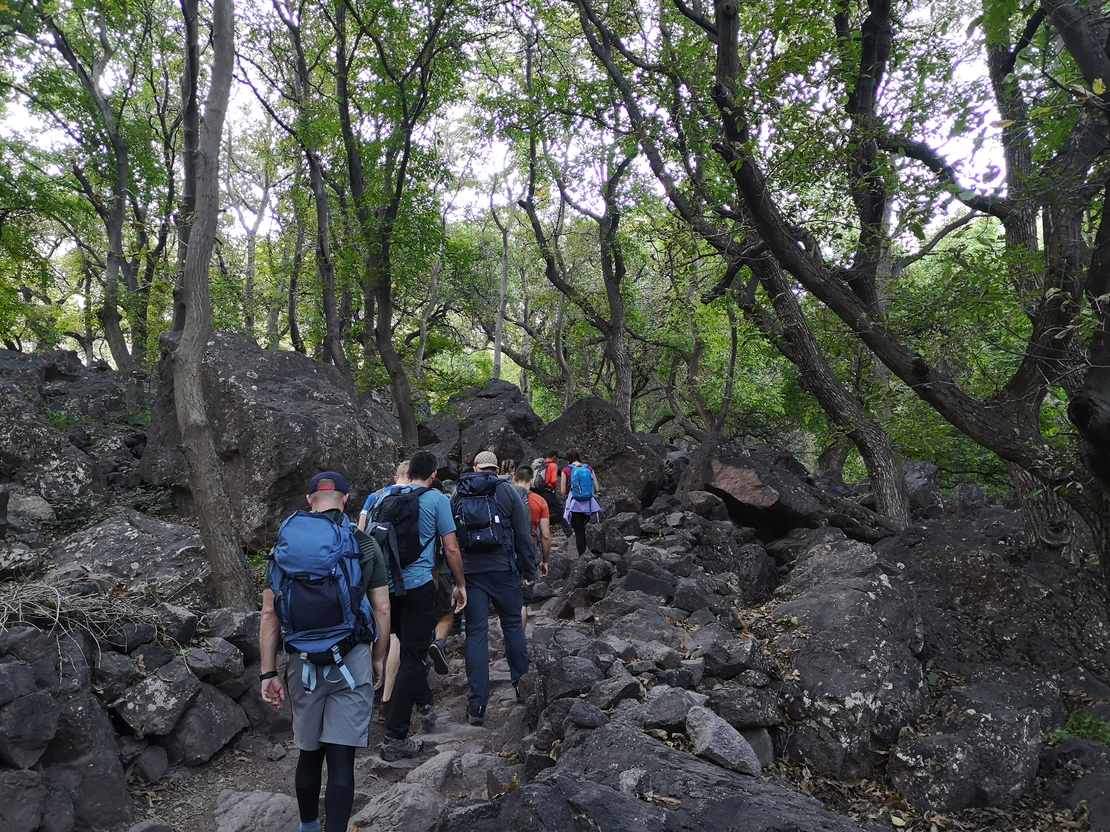 image_98MSFT2BEGKV8DJL