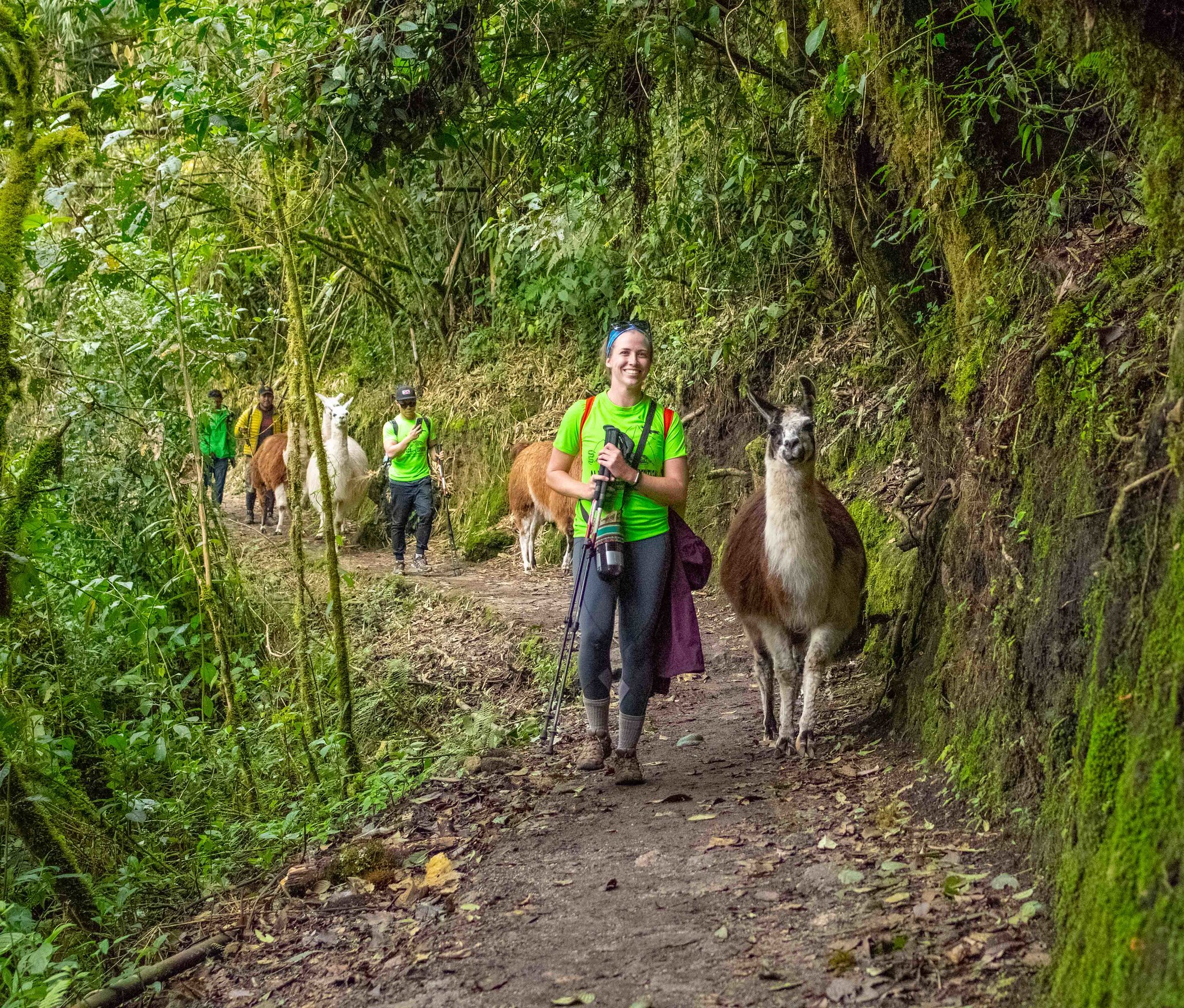 image_3CYYLFKS57JQ88EH