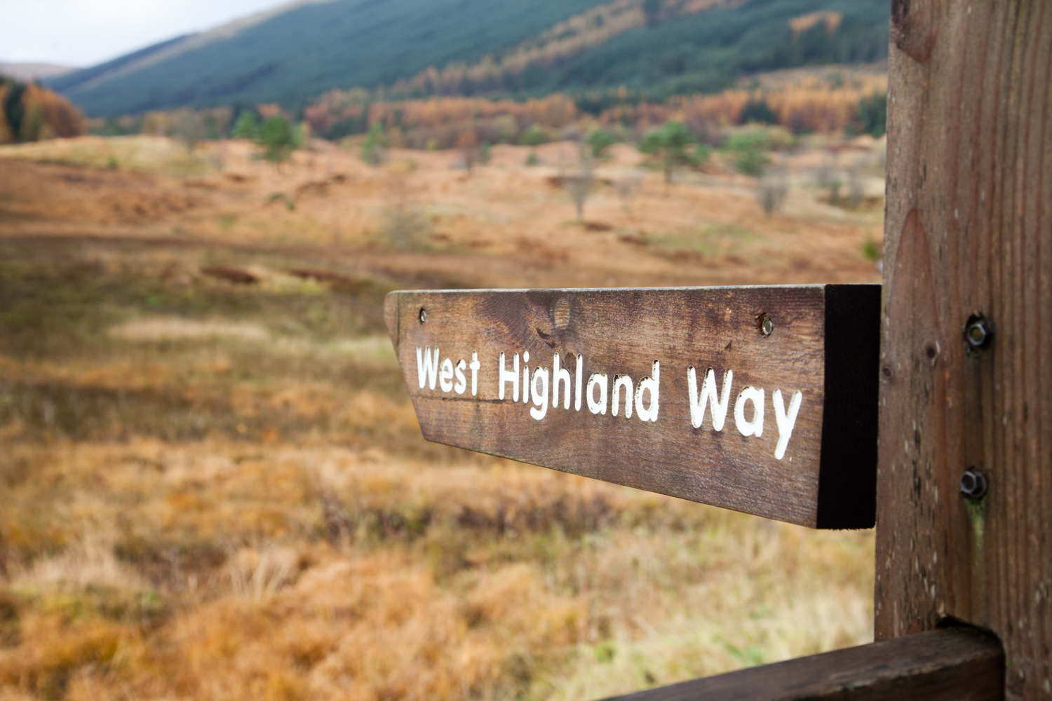 image_5F7CR6KX88YRHNJ6