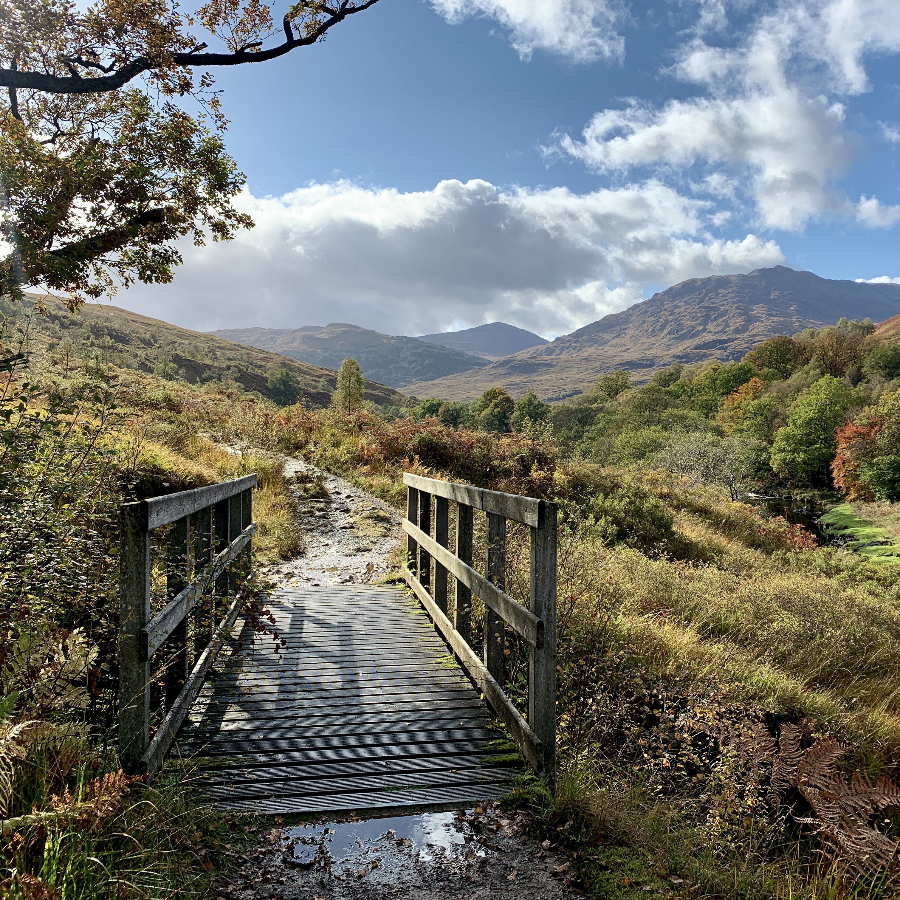 image_YVE8TGLHKHB9DBLX